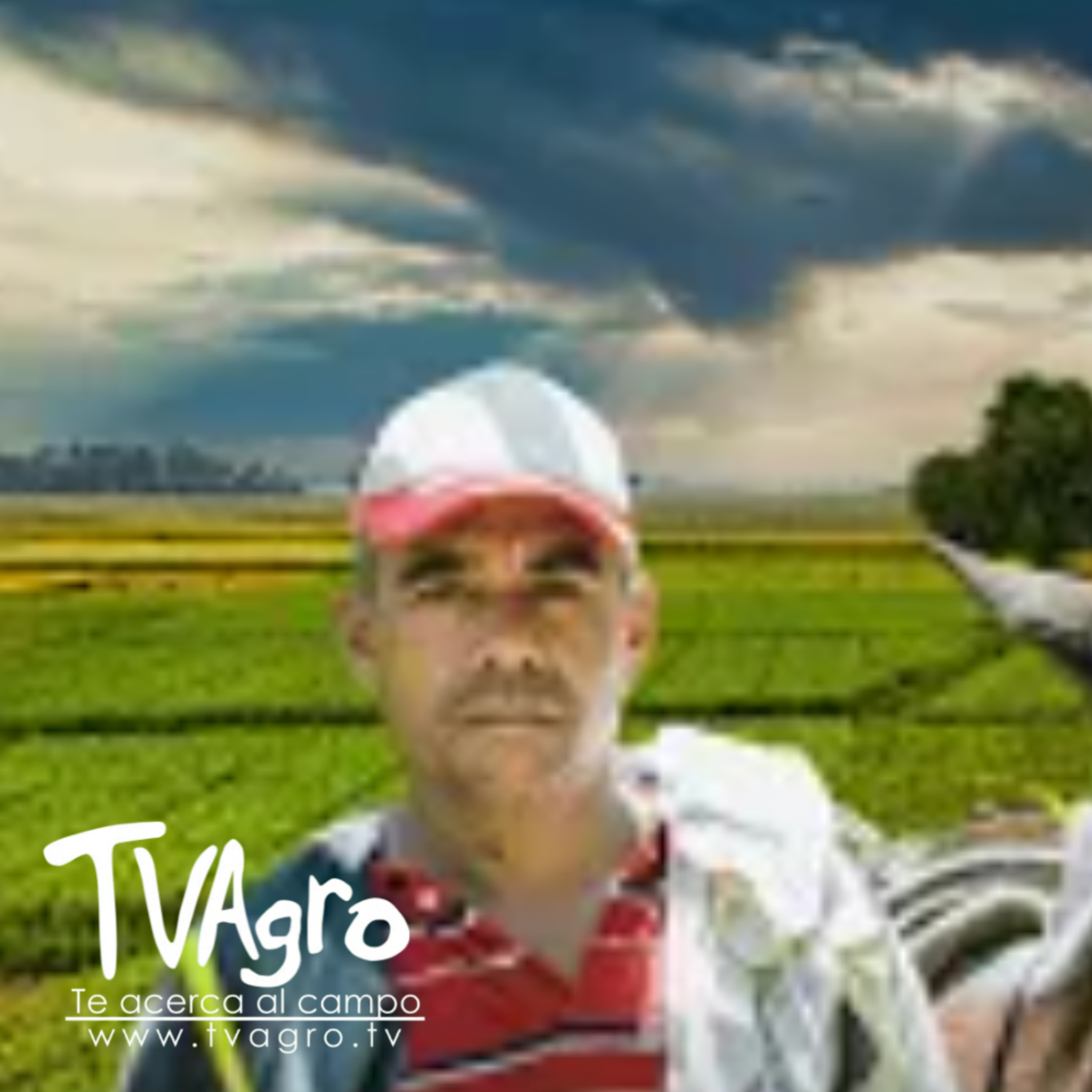 ¿Qué dicen los campesinos? Críticas a la reglamentación - TvAgro por Juan Gonzalo Angel