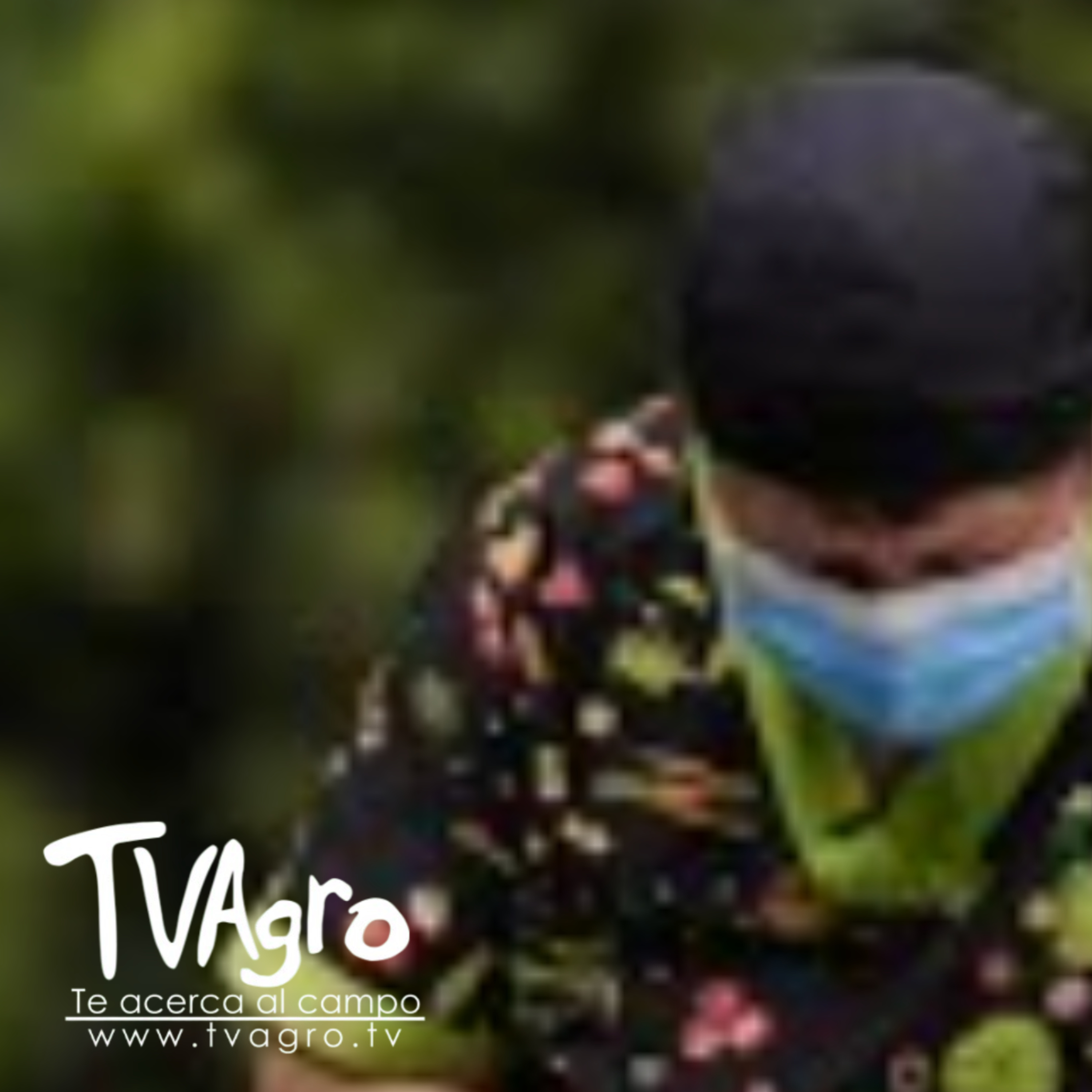 Así se transforman plantas no convencionales en alimentos- TvAgro por Juan Gonzalo Angel