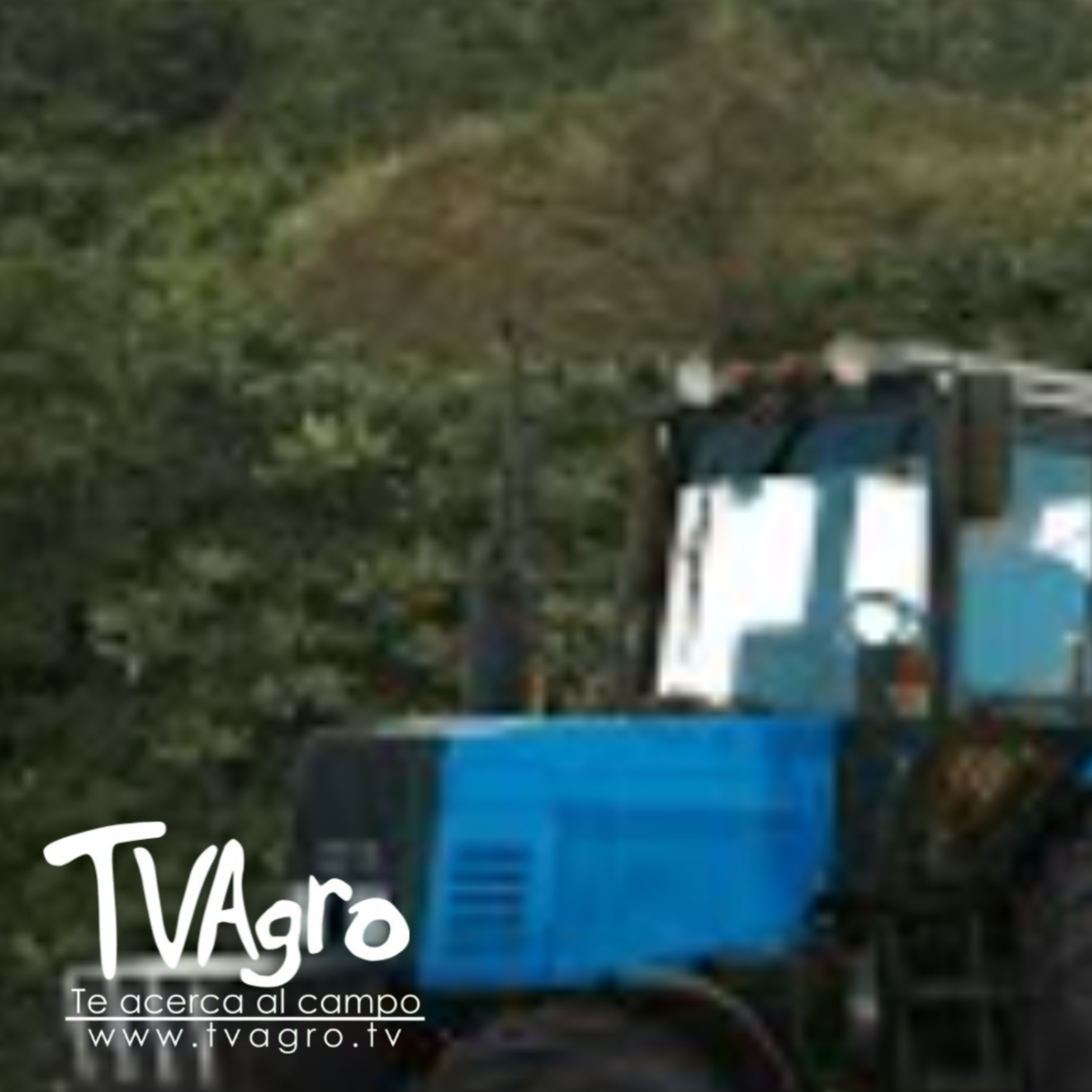 Diversificación de cultivos: La variedad fortalece la economía rural - TvAgro por Juan Gonzalo Angel