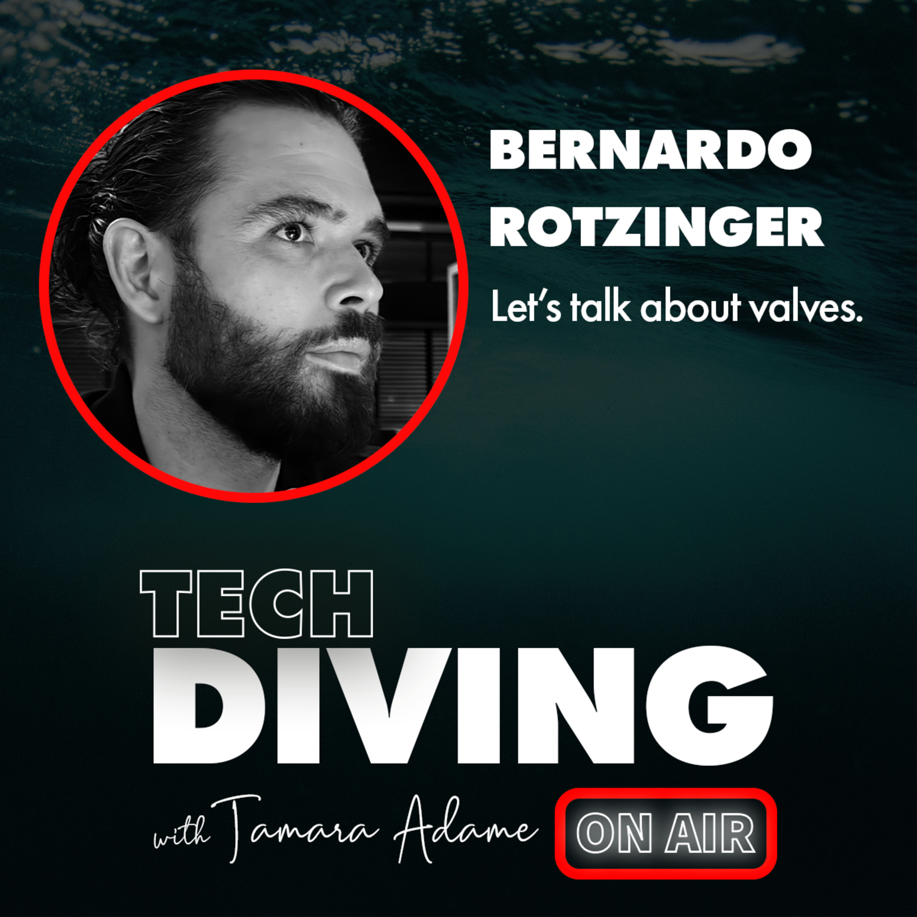 Let’s talk about valves! Bernardo Rotzinger episode artwork