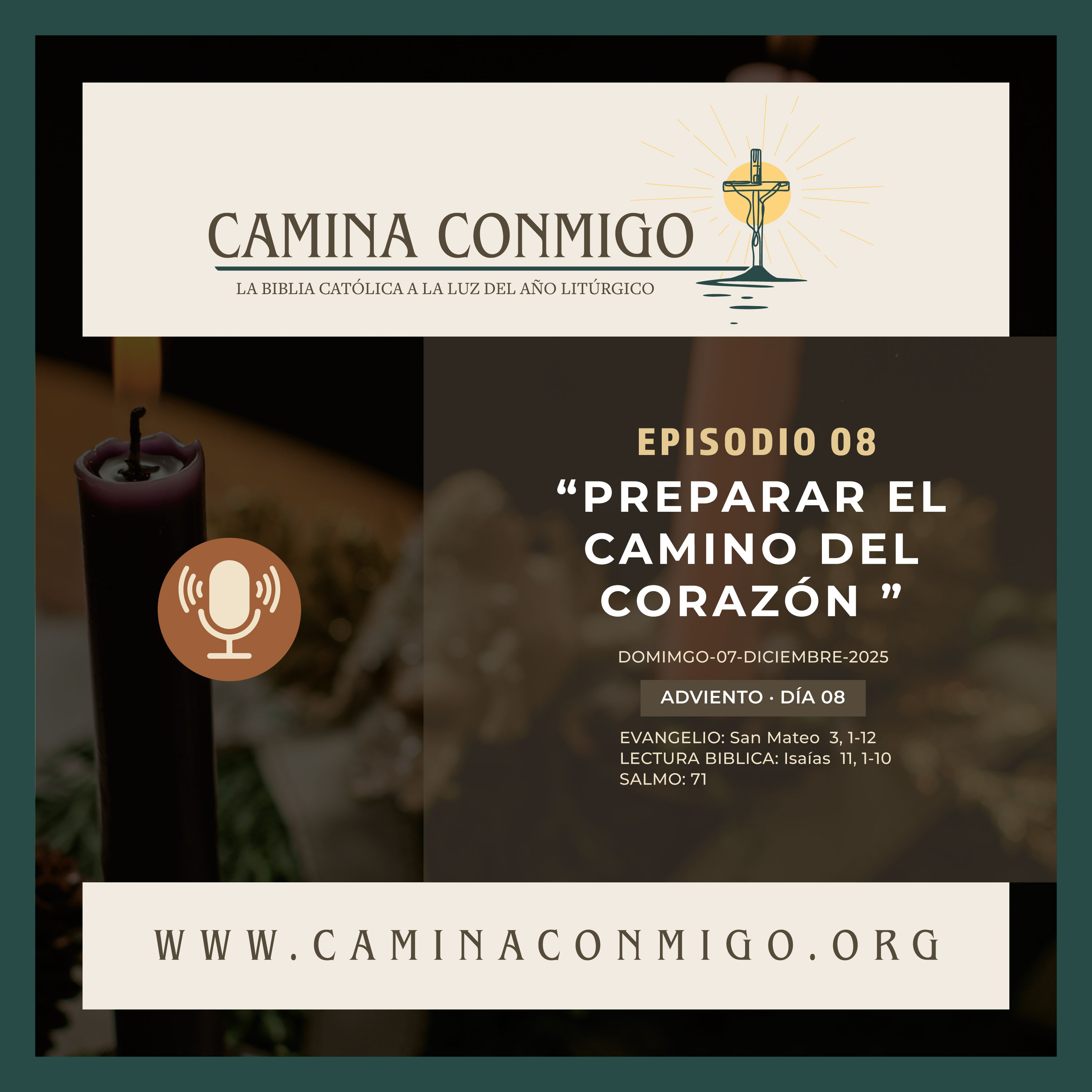 CAMINA CONMIGO – La Biblia Católica a la Luz del Año Litúrgico