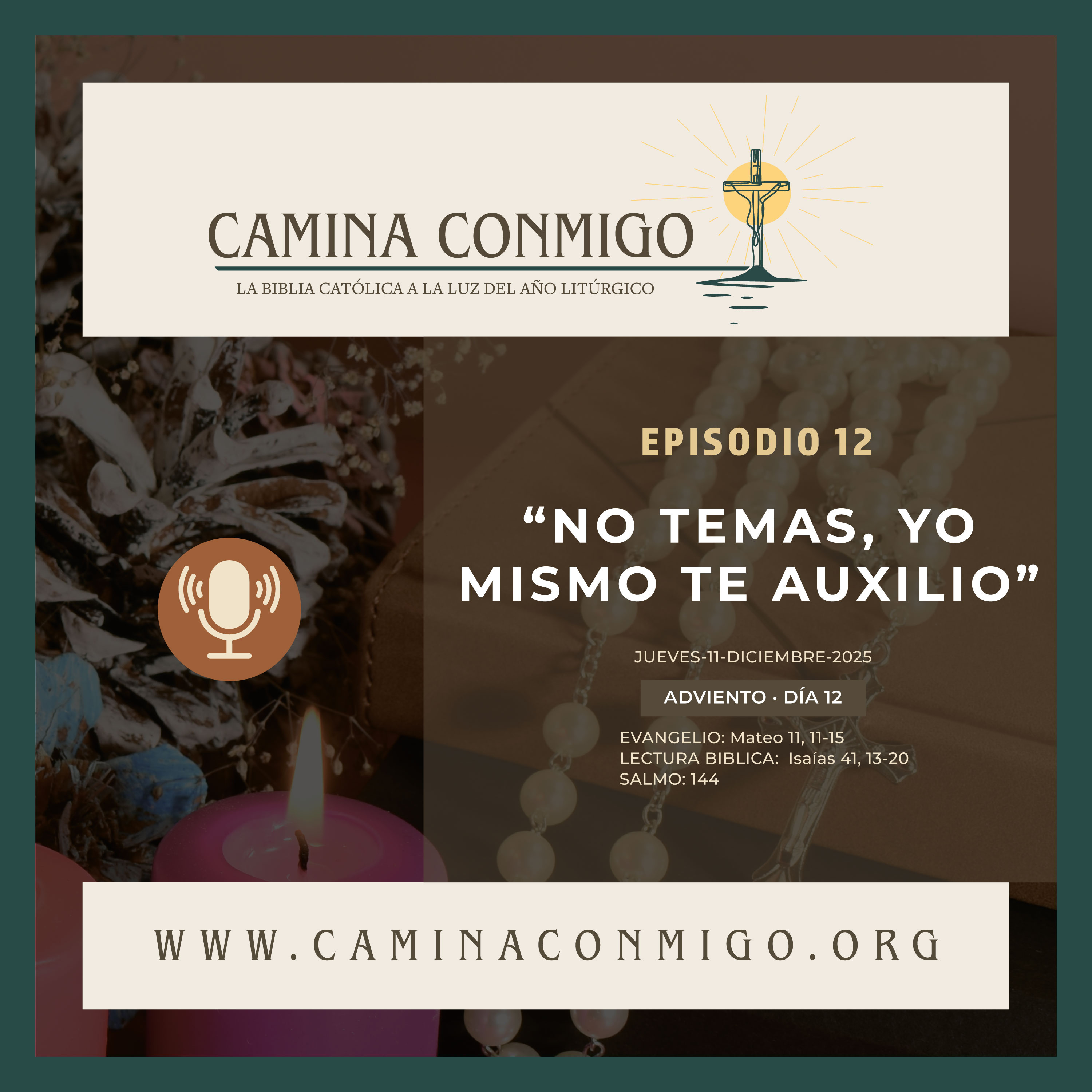 CAMINA CONMIGO – La Biblia Católica a la Luz del Año Litúrgico