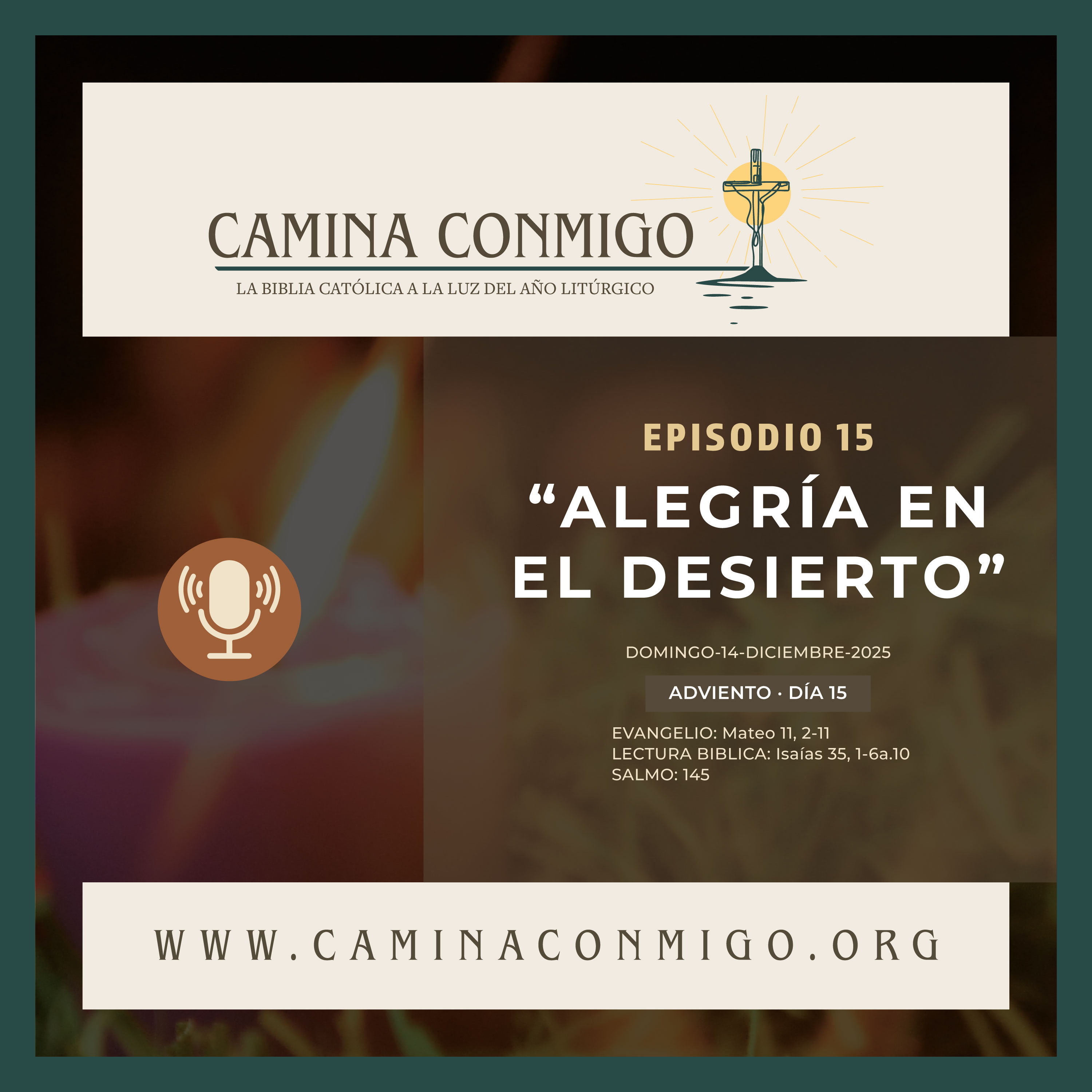 CAMINA CONMIGO – La Biblia Católica a la Luz del Año Litúrgico