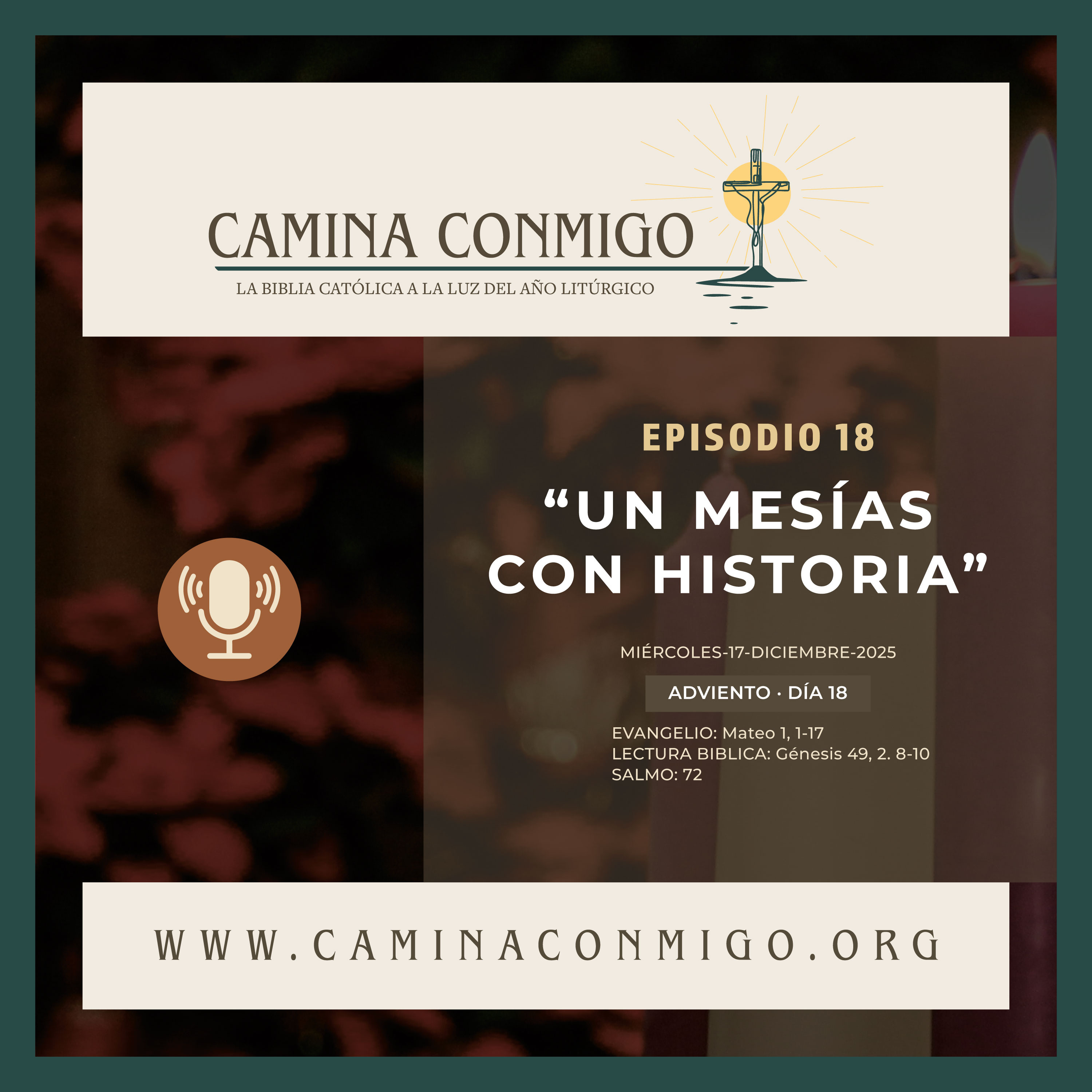 CAMINA CONMIGO – La Biblia Católica a la Luz del Año Litúrgico