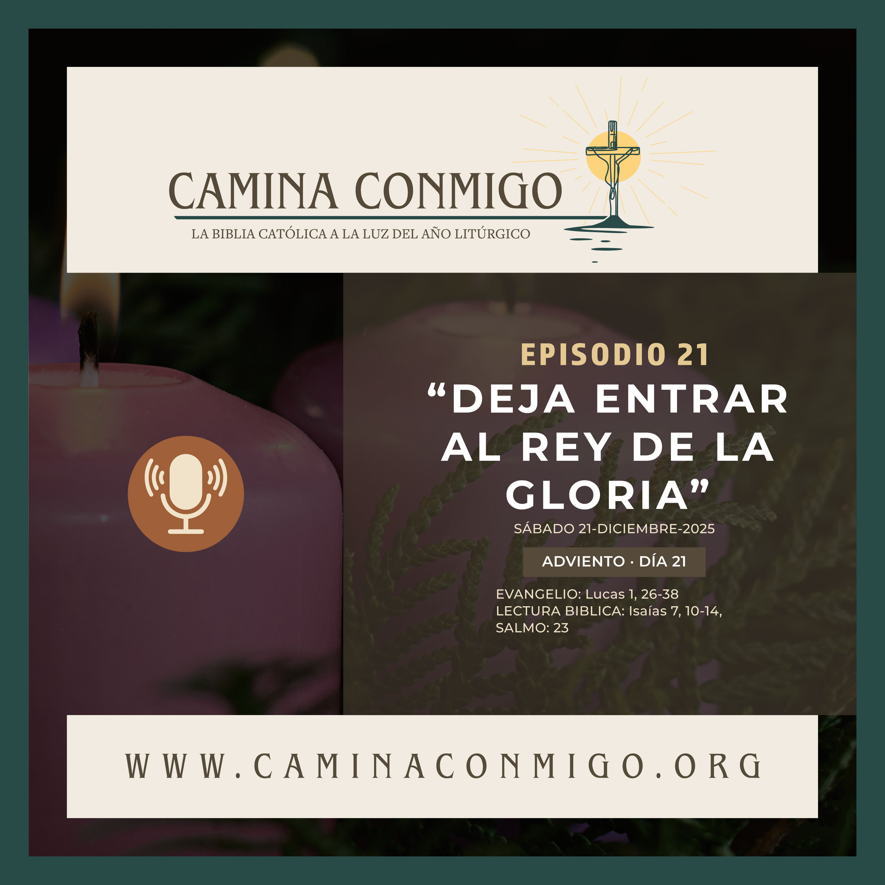 CAMINA CONMIGO – La Biblia Católica a la Luz del Año Litúrgico