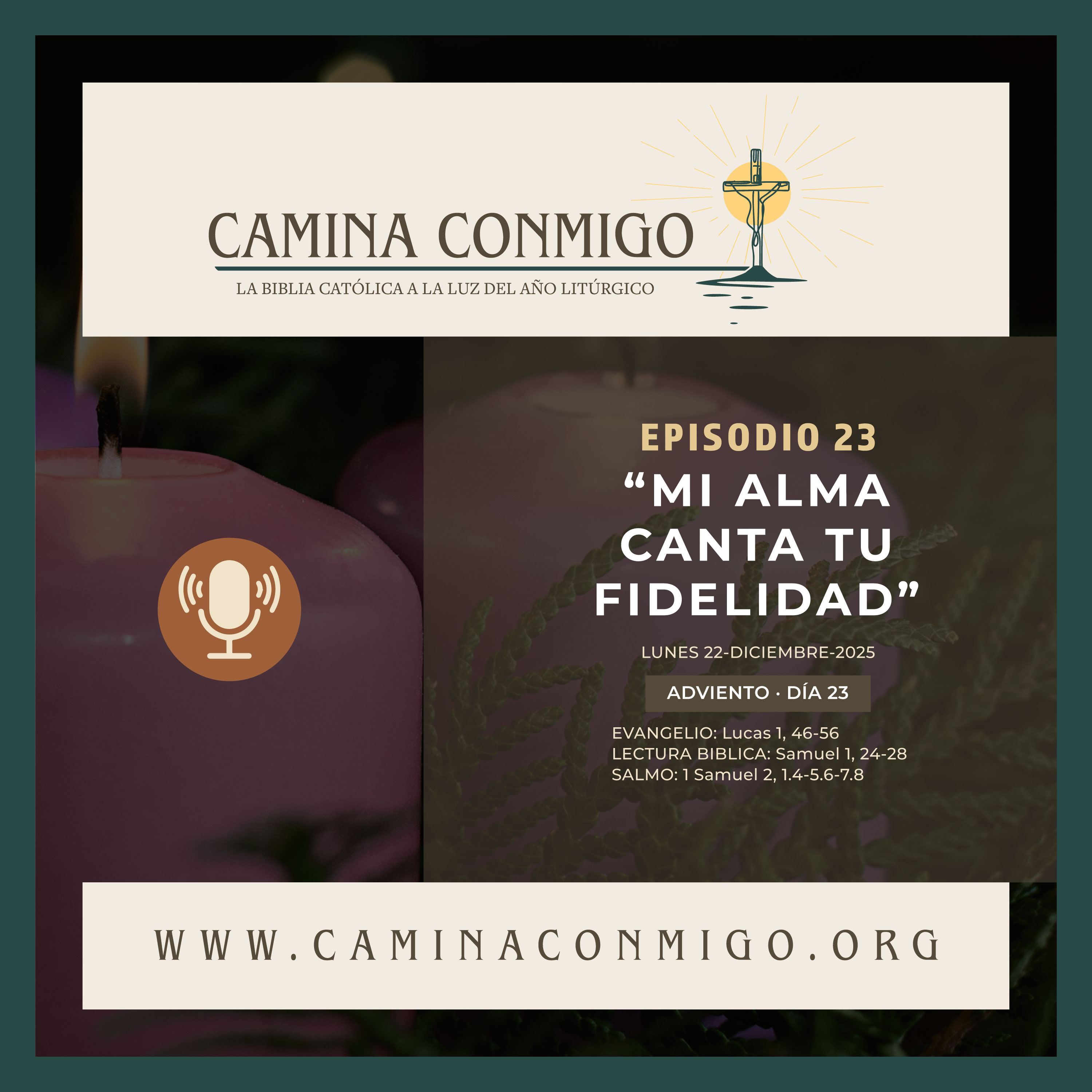 CAMINA CONMIGO – La Biblia Católica a la Luz del Año Litúrgico