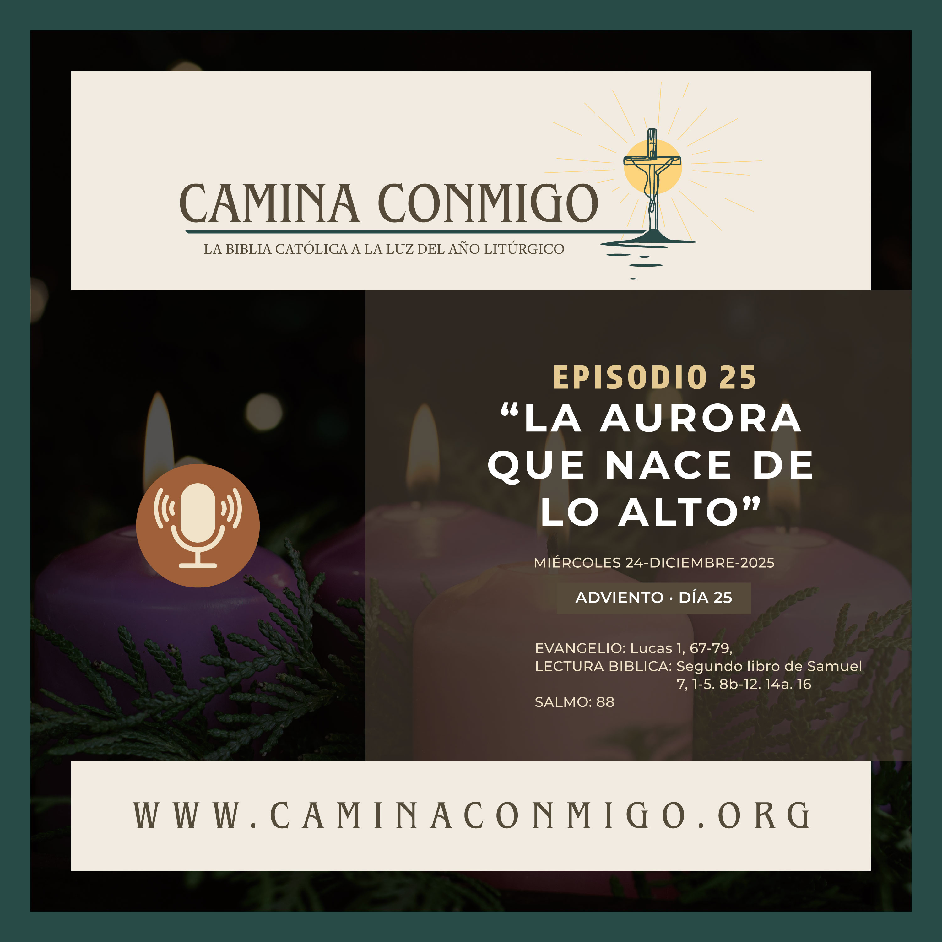 CAMINA CONMIGO – La Biblia Católica a la Luz del Año Litúrgico