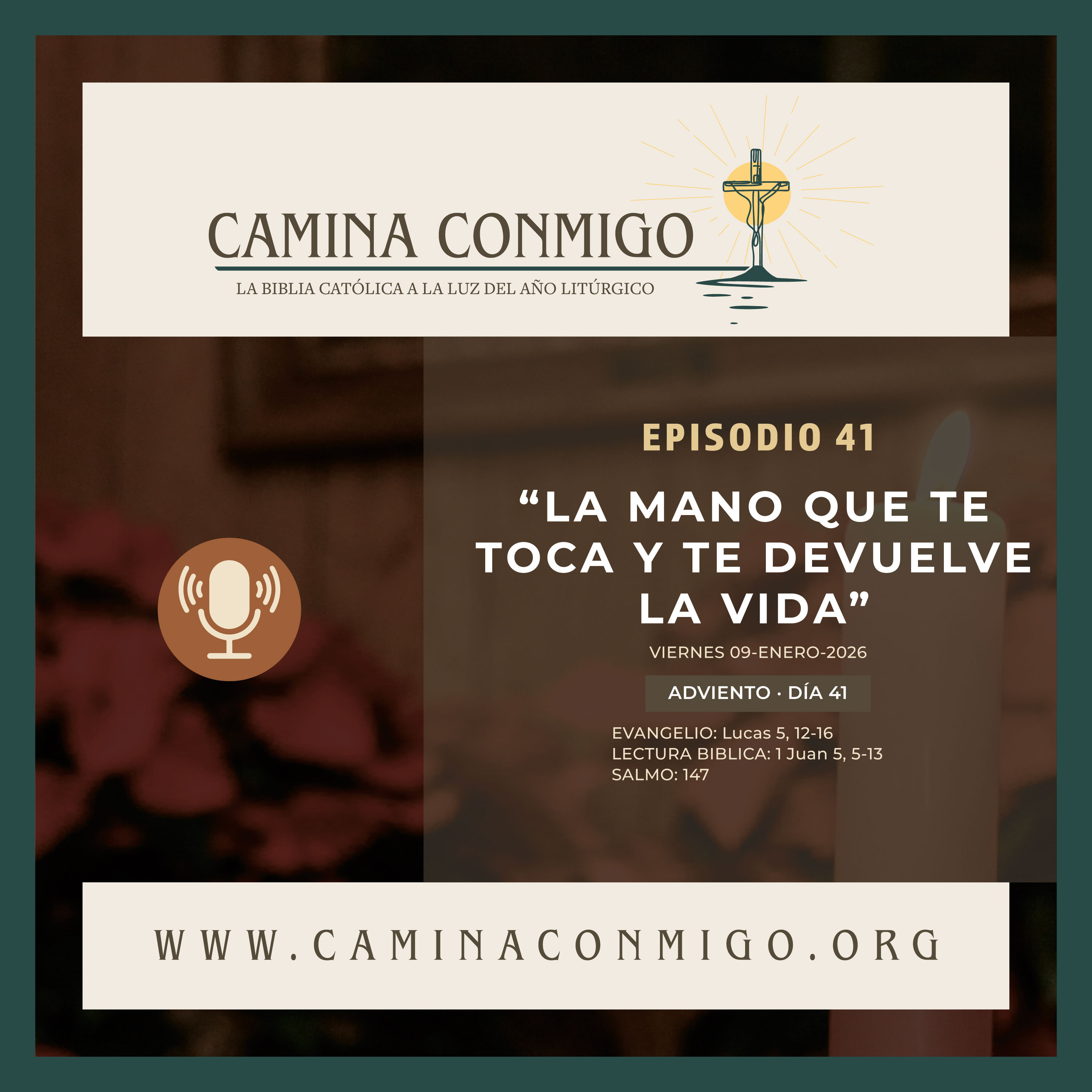CAMINA CONMIGO – La Biblia Católica a la Luz del Año Litúrgico