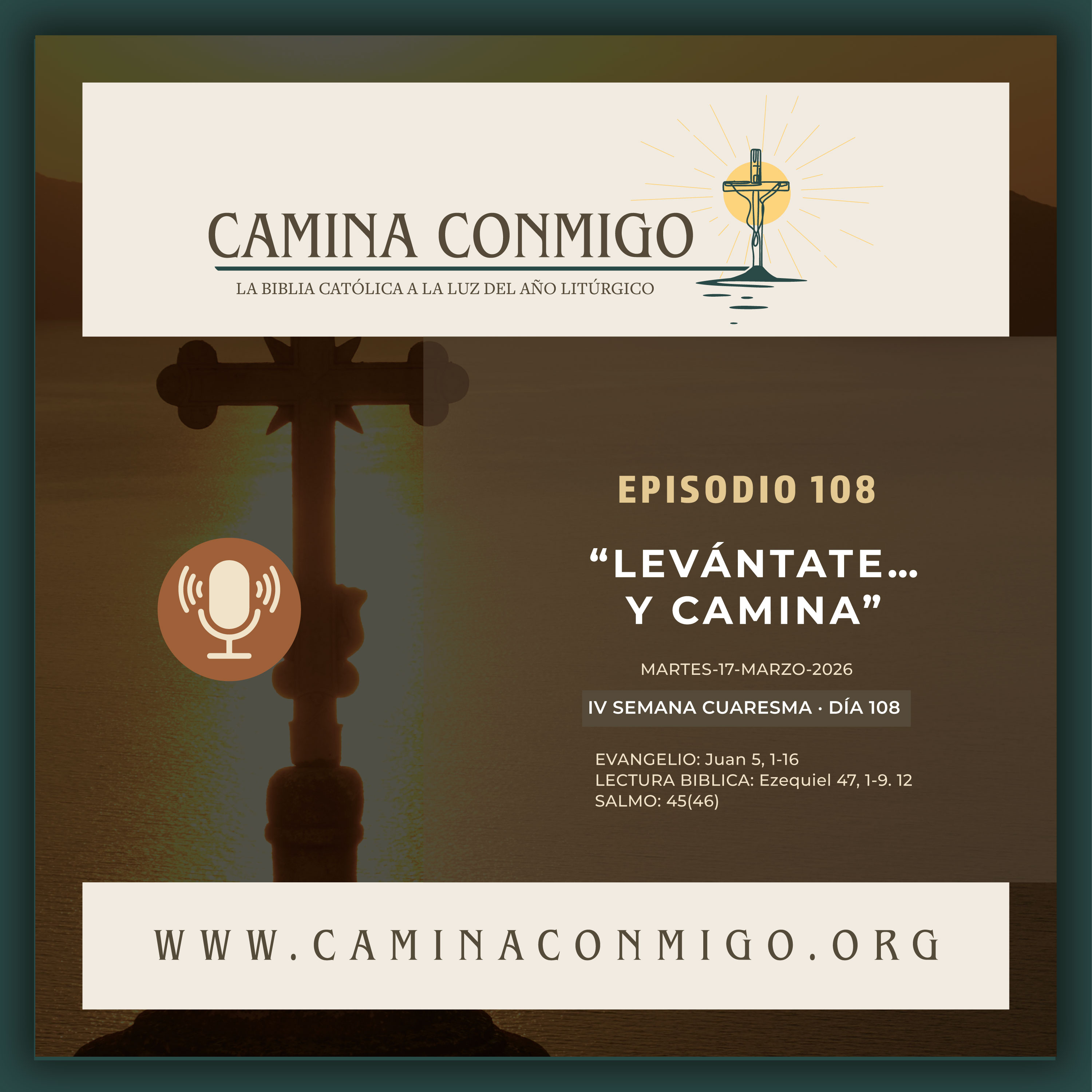 CAMINA CONMIGO – La Biblia Católica a la Luz del Año Litúrgico