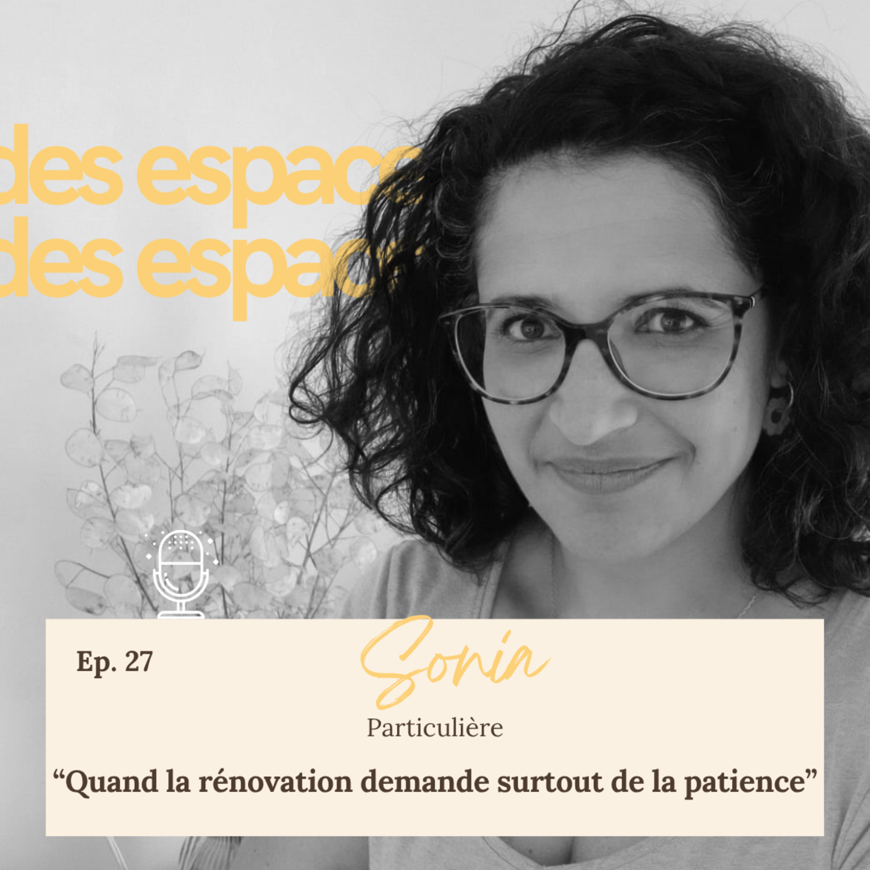 #27 - Les Défis de Sonia - Quand la rénovation demande surtout de la patience episode artwork