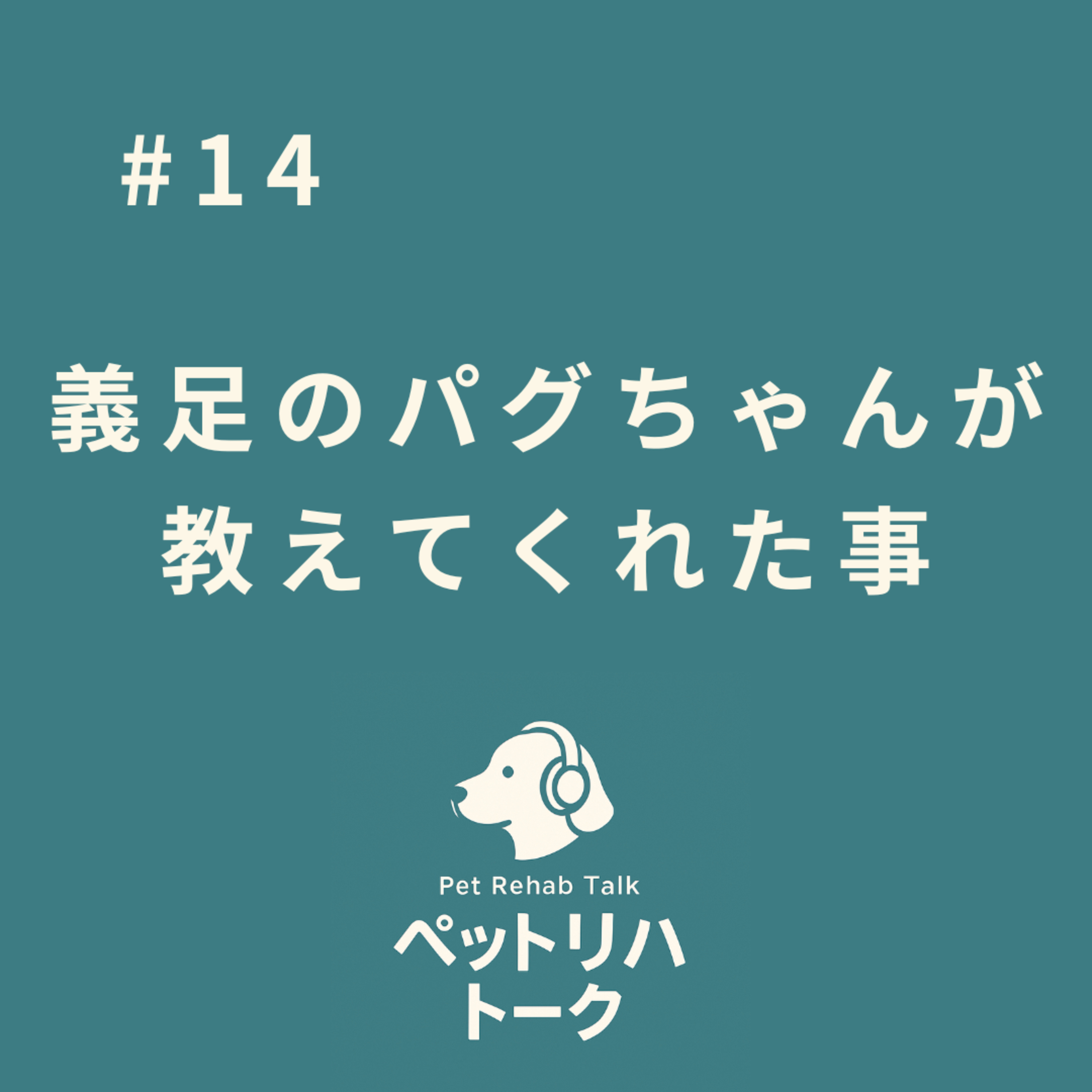 #14 義足を選んだパグちゃんが教えてくれた、義肢装具のリハビリの重要性 episode artwork