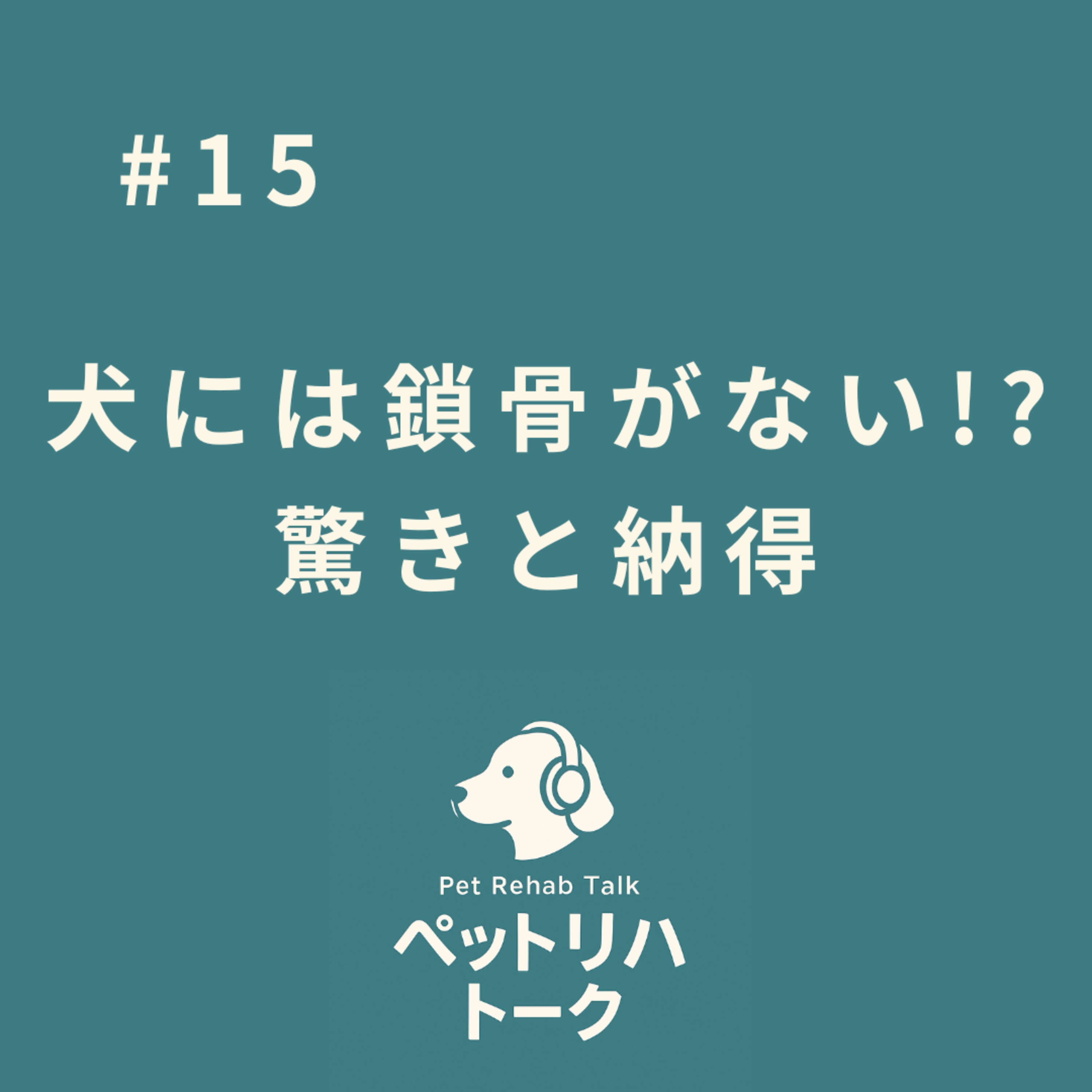 #15 犬には鎖骨がない！？ 理学療法士が驚いた「退化した骨の秘密」と、シニア犬の背中に現れるSOSのサイン episode artwork