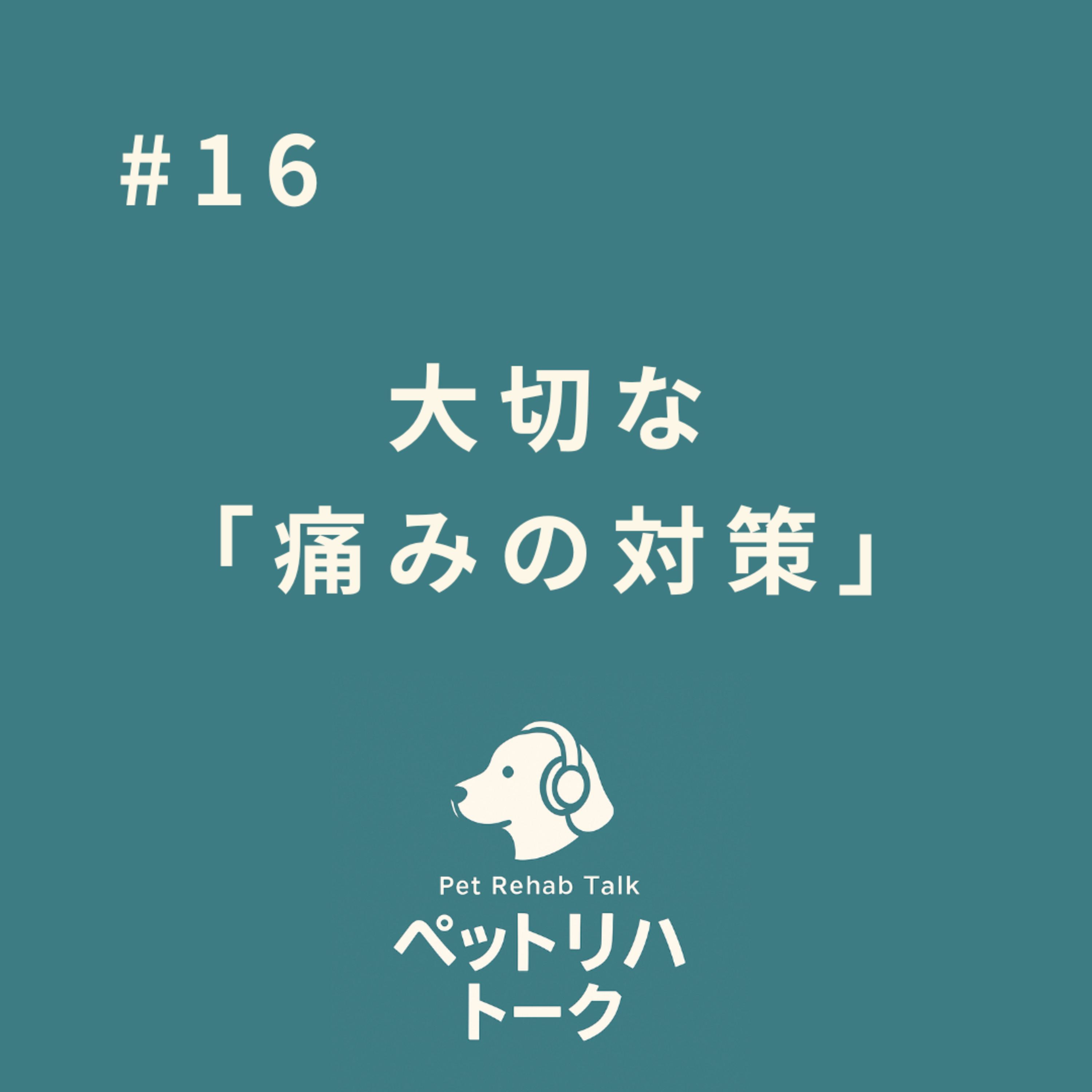 #16 痛がっている時にしてあげられることー痛みの正体と正しい対策ー episode artwork
