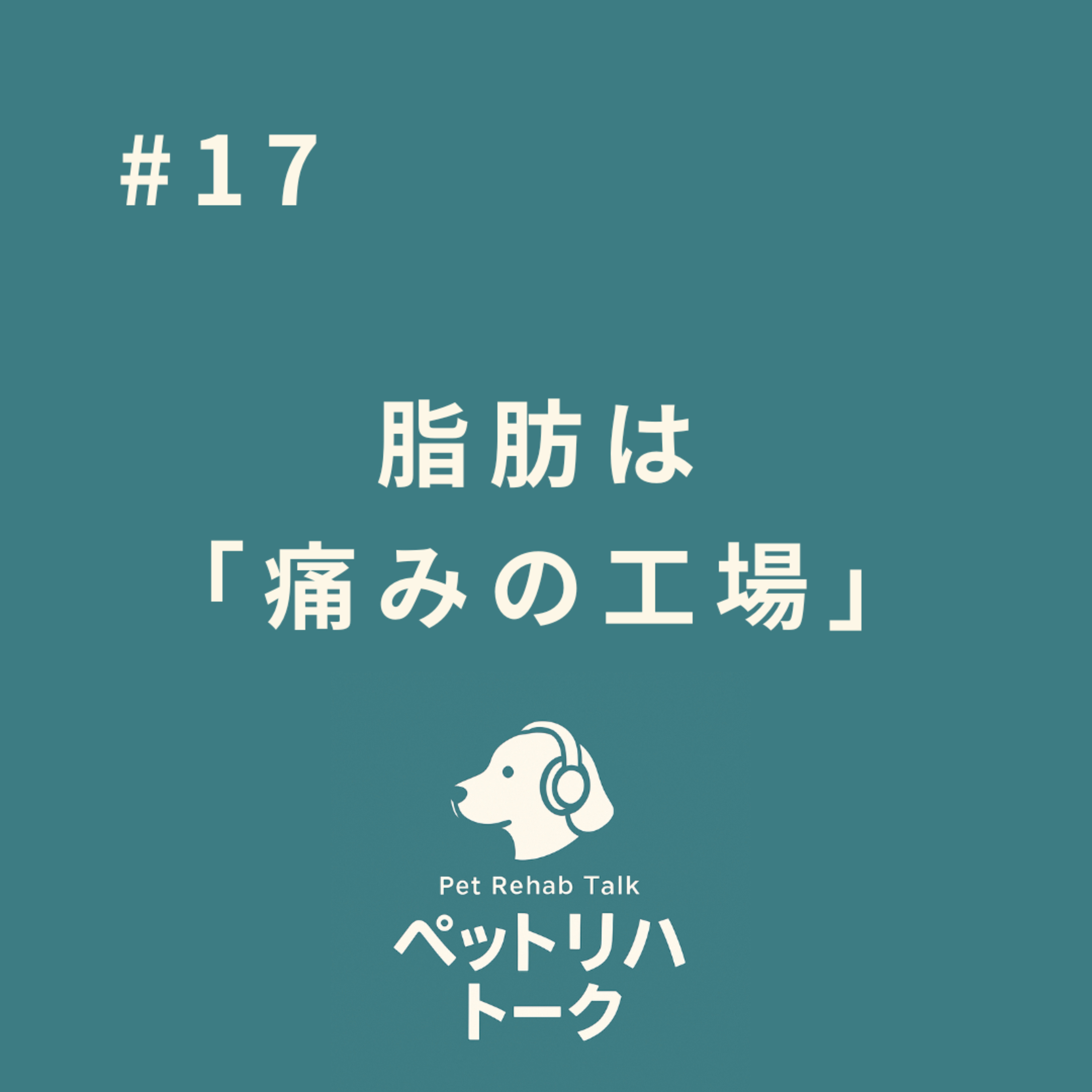 #17 脂肪はただの重りじゃない！？「痛みの工場」になる本当の理由 episode artwork