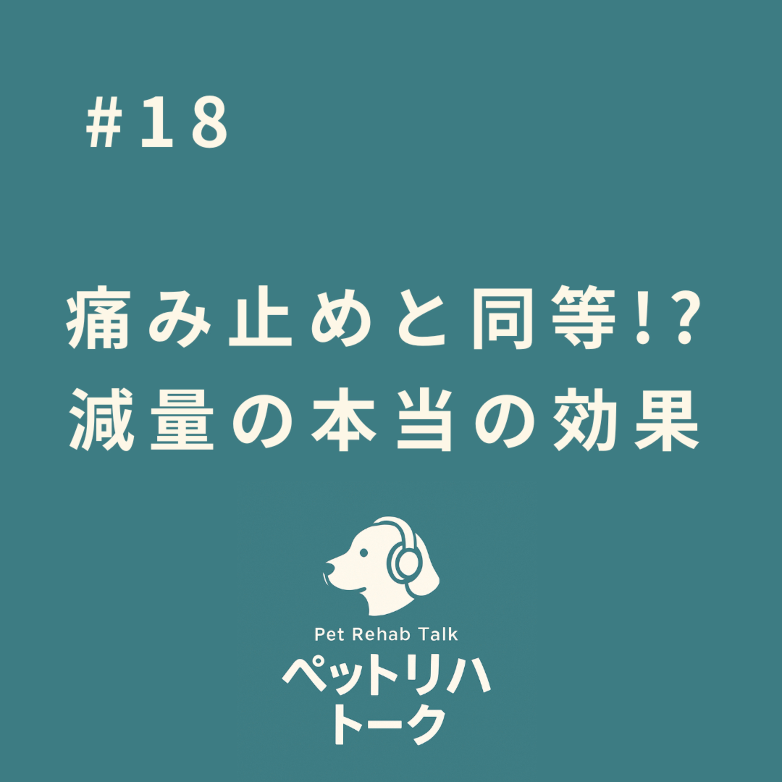 #18 最強の痛み止め！？たった数%の「減量」が愛犬の歩き方を変える本当の理由 episode artwork