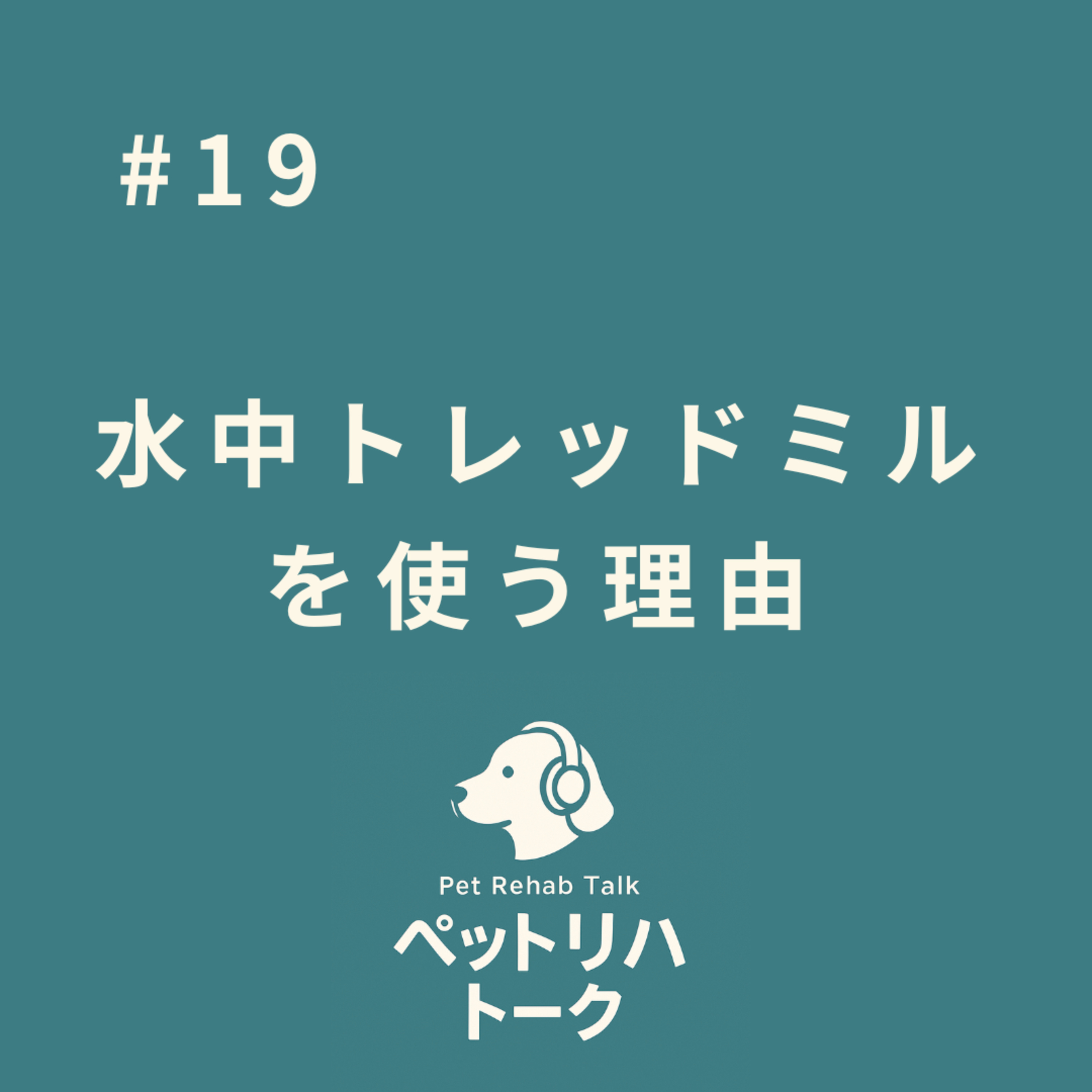 #19 「とりあえず水治」はもったいない！水中トレッドミルの本当の目的 episode artwork