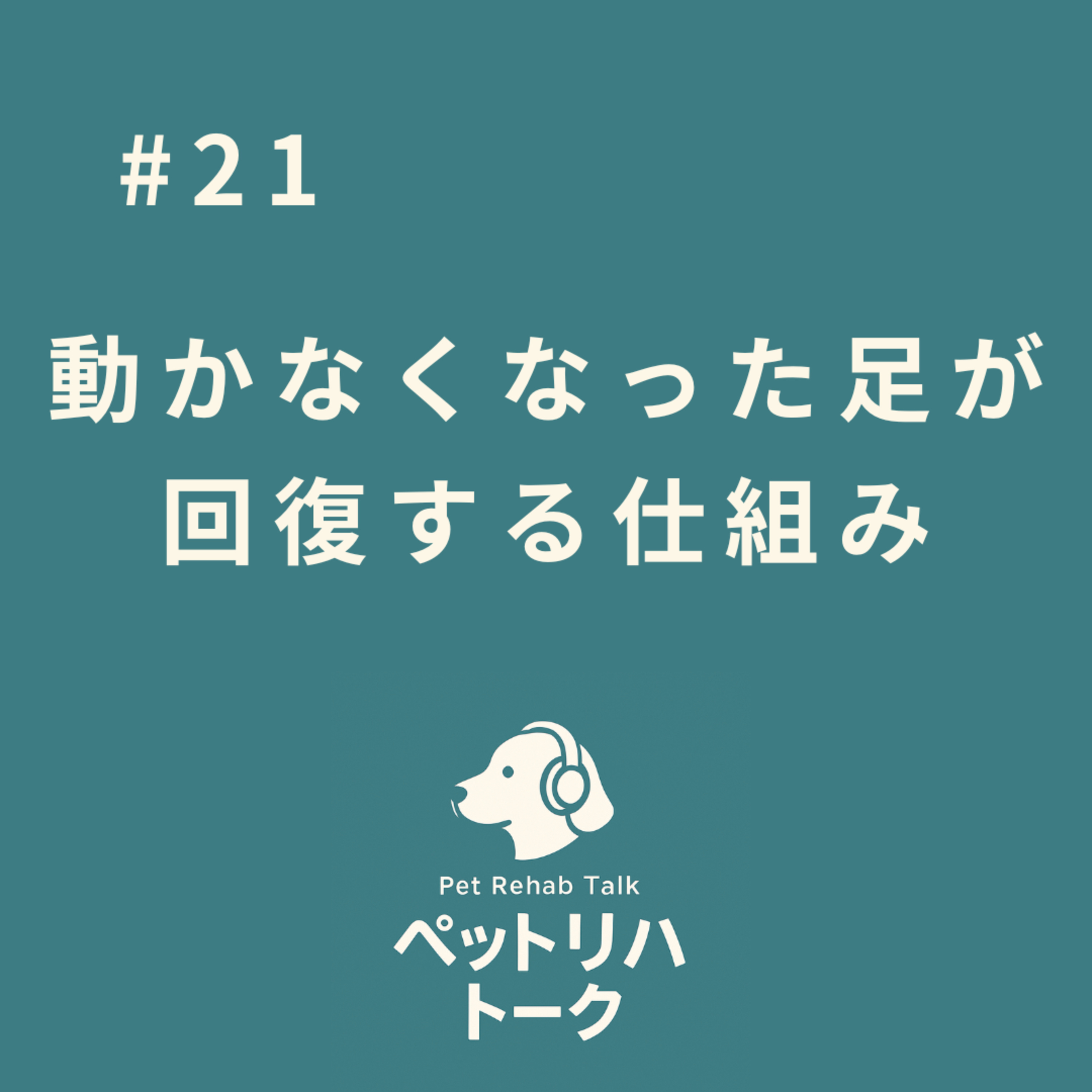 #21 諦めない練習が実を結ぶ理由。麻痺からの回復を支える「神経の可塑性」と「脊髄歩行」の不思議 episode artwork
