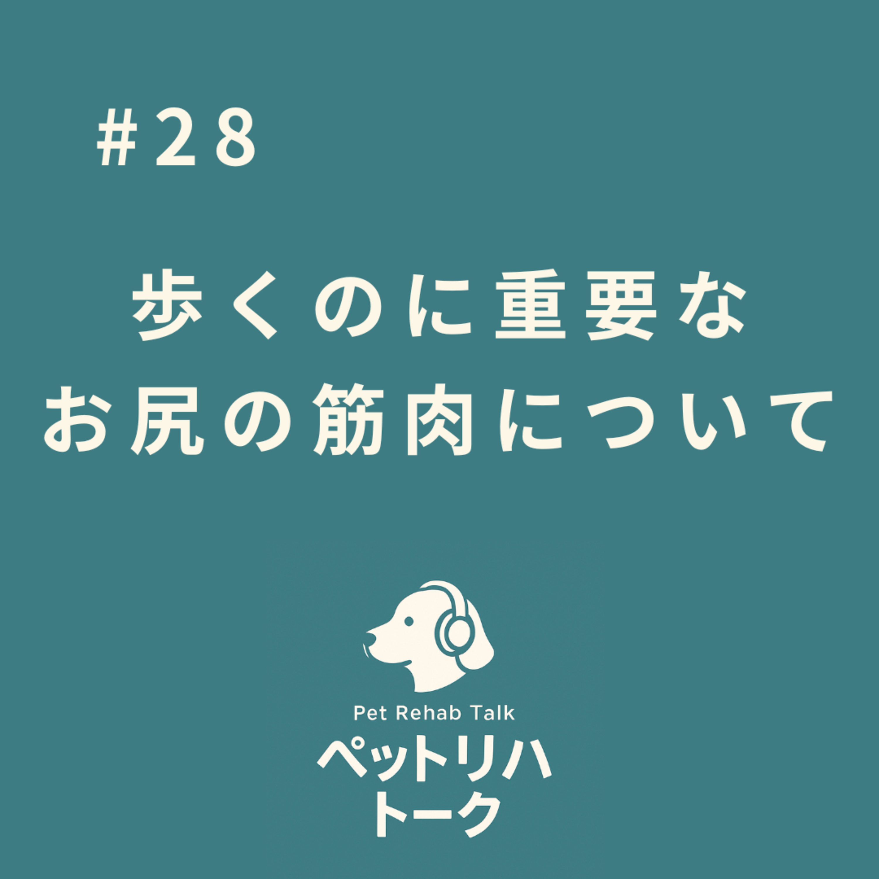 #28 股関節を守るサスペンション！文献から読み解く「お尻の筋肉」の重要性と動物リハビリの価値 episode artwork