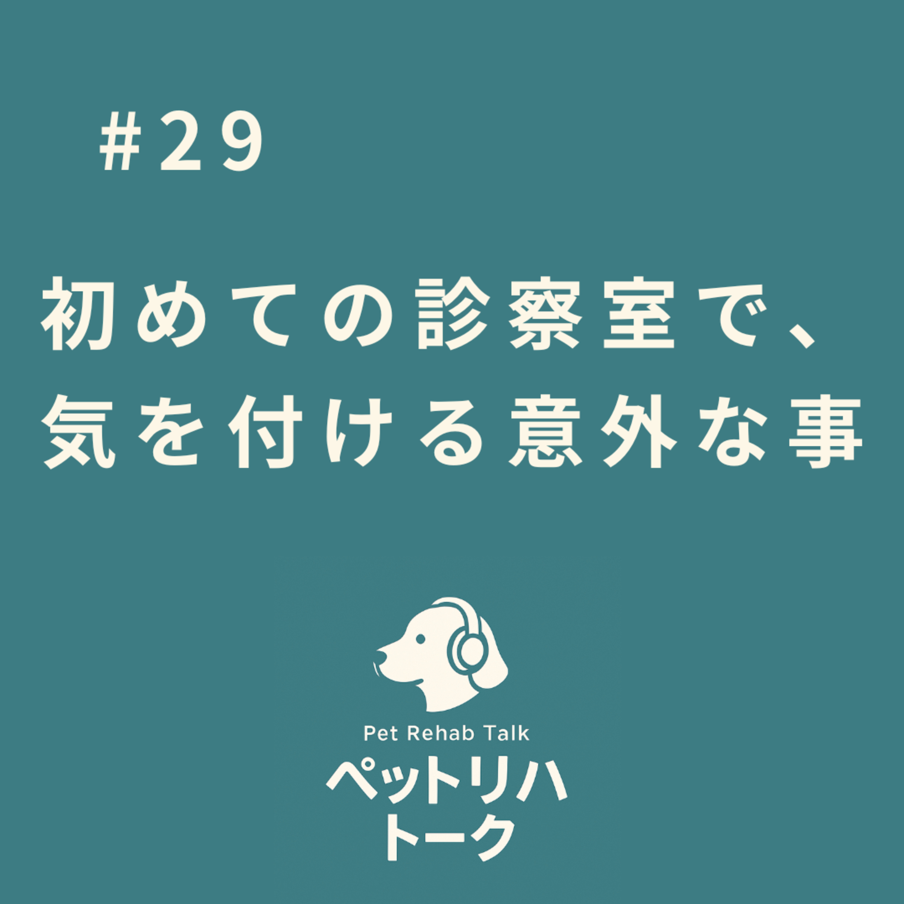 #29 初めての診察室で一番最初に見ている意外なこと｜犬は私たちの会話を聞いている？ episode artwork
