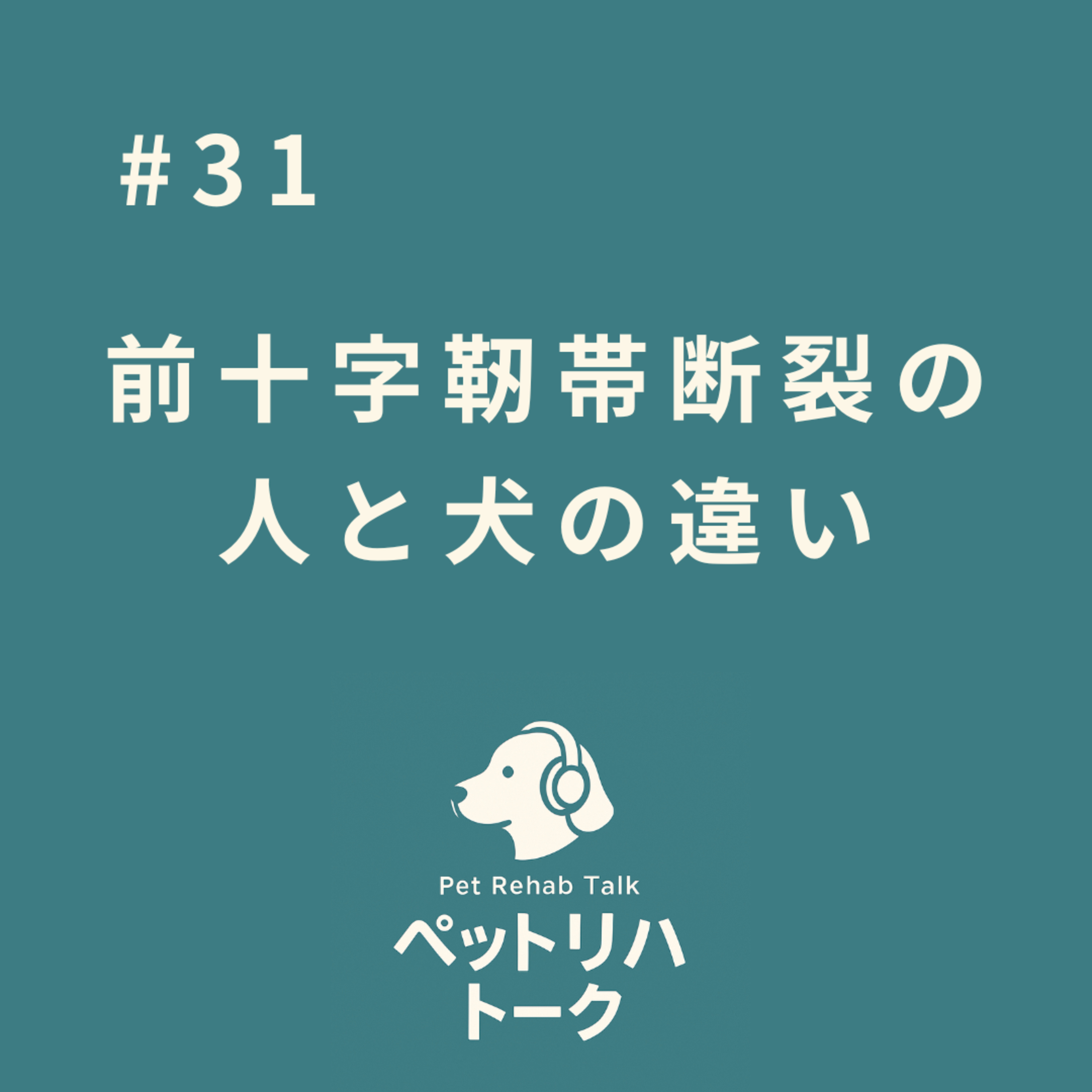 #31 W杯激闘！サッカー選手と犬に共通する「前十字靭帯断裂」の決定的な違い episode artwork