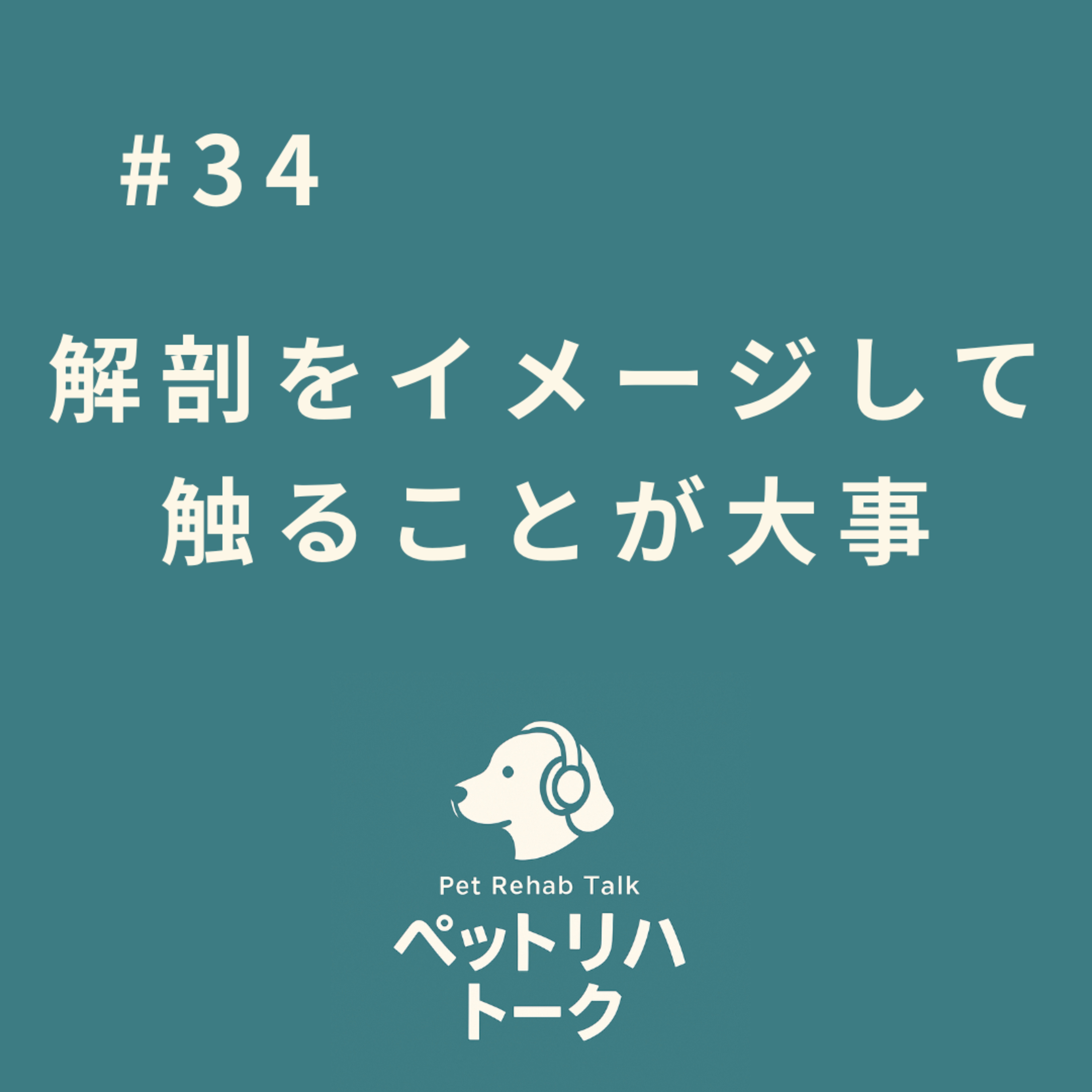 #34 セミの声と一緒にお届け！「やっぱり解剖って大事だな」と改めて気づいたお話 episode artwork
