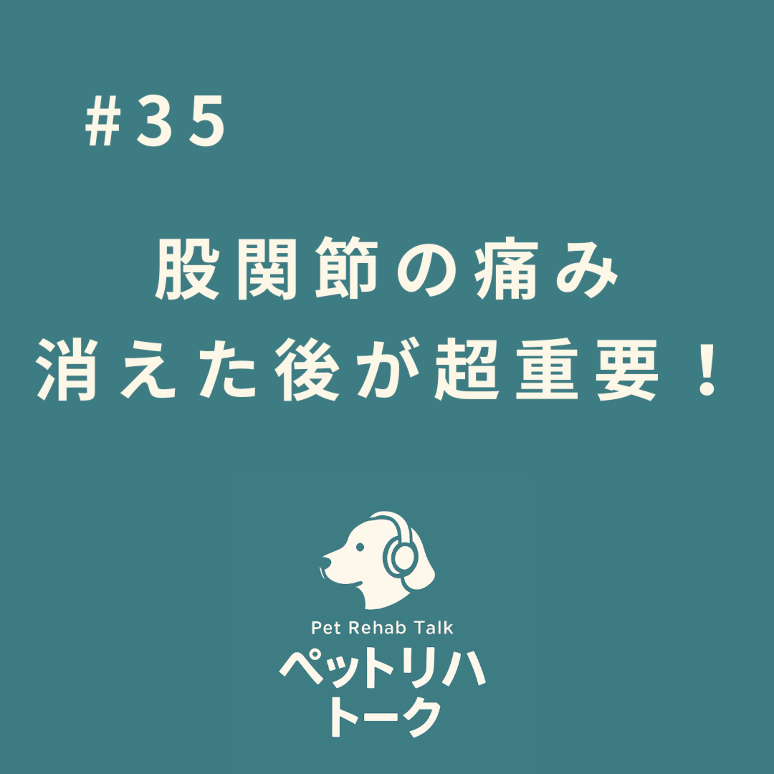#35 股関節形成不全〜痛みが消えた「その後」のリハビリが重要だった〜 episode artwork