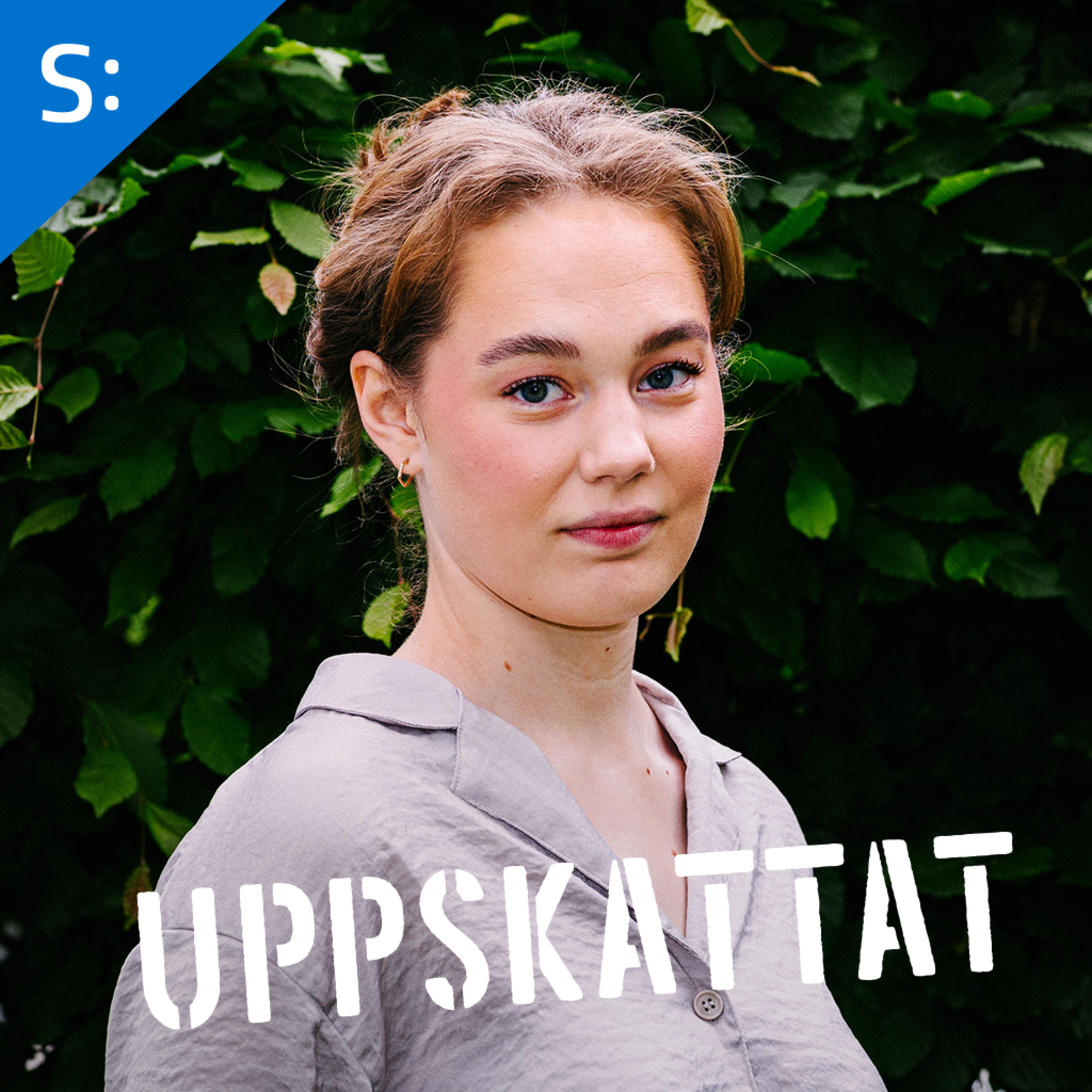 Det stora skogsrånet