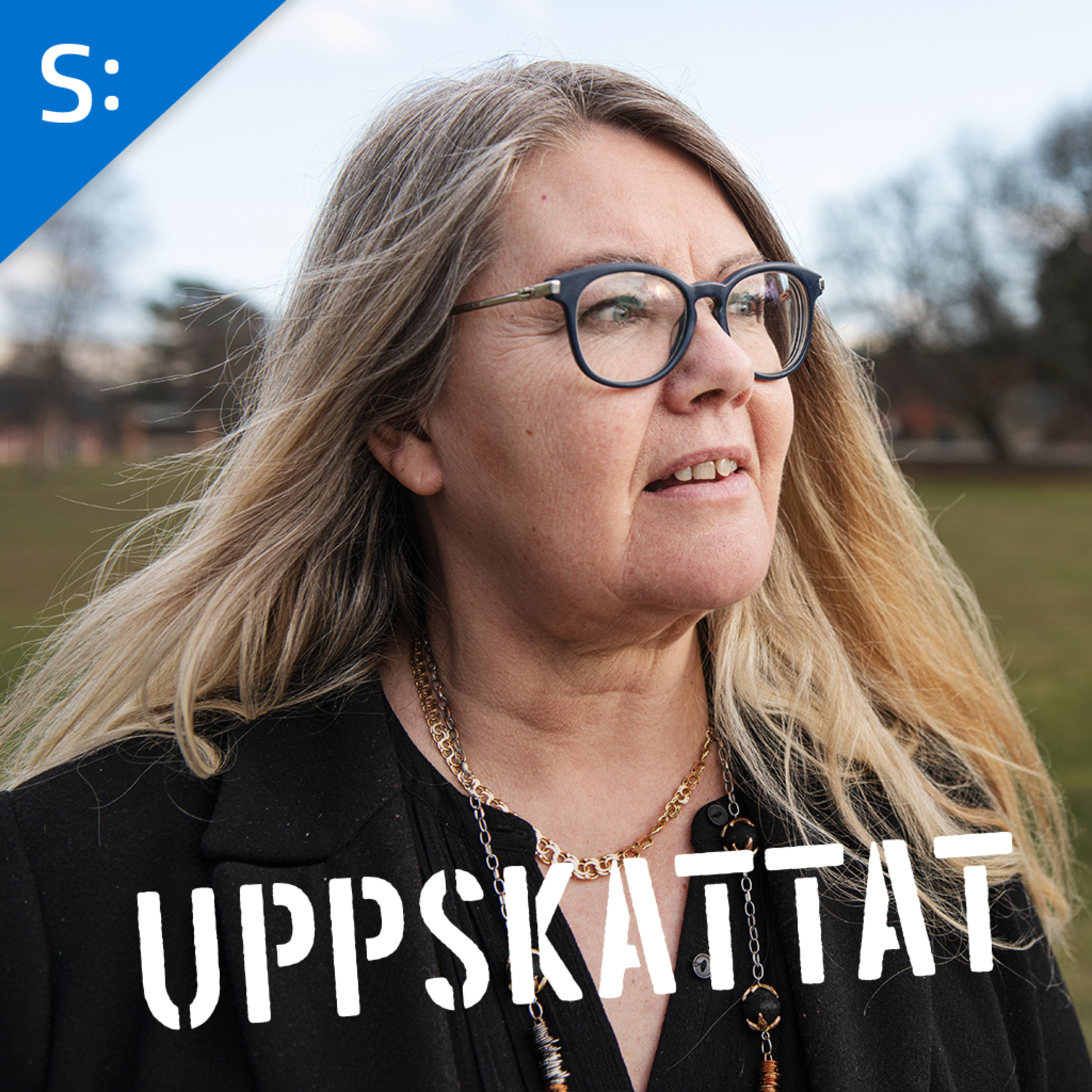 Så kan vi stoppa kommunernas skattehöjningar episode artwork