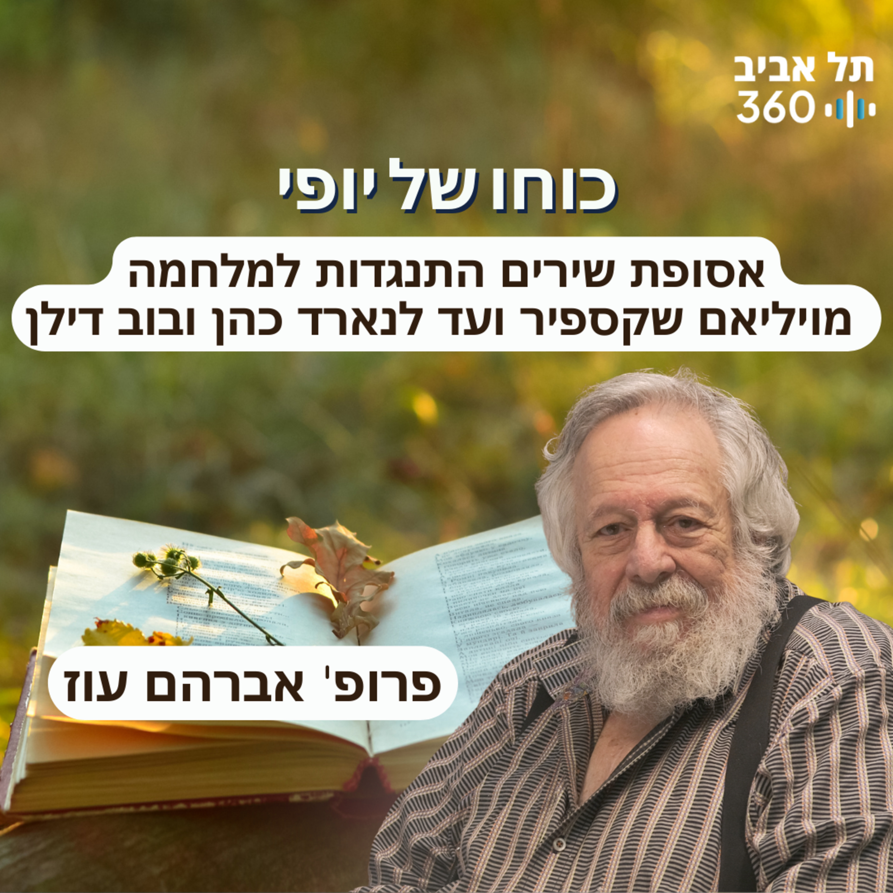 כוחו של היופי episode artwork