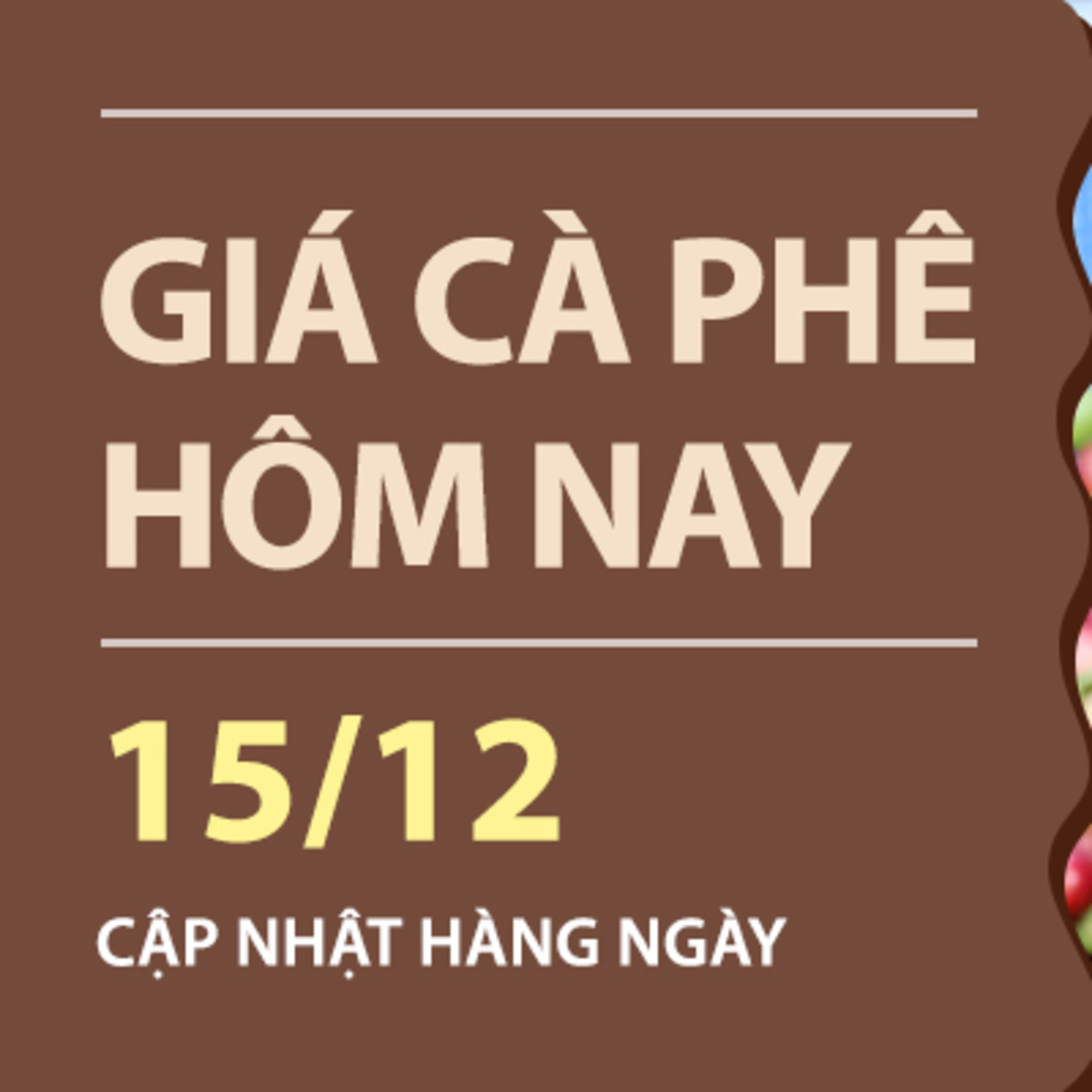Giá cà phê hôm nay 15/12/2025: Trong nước tiếp tục giảm sâu, giá lùi sát 97.000 đồng/kg episode artwork