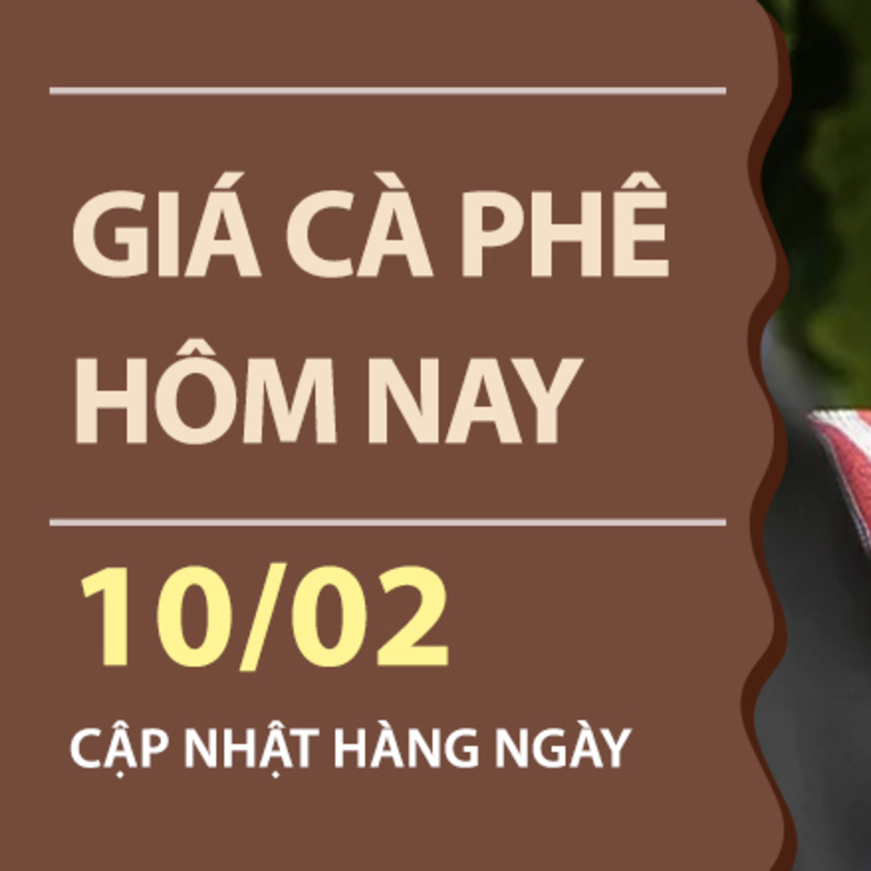 Giá cà phê hôm nay 10/02/2026: Hồi phục rõ rệt sau nhiều ngày chịu áp lực bán mạnh episode artwork
