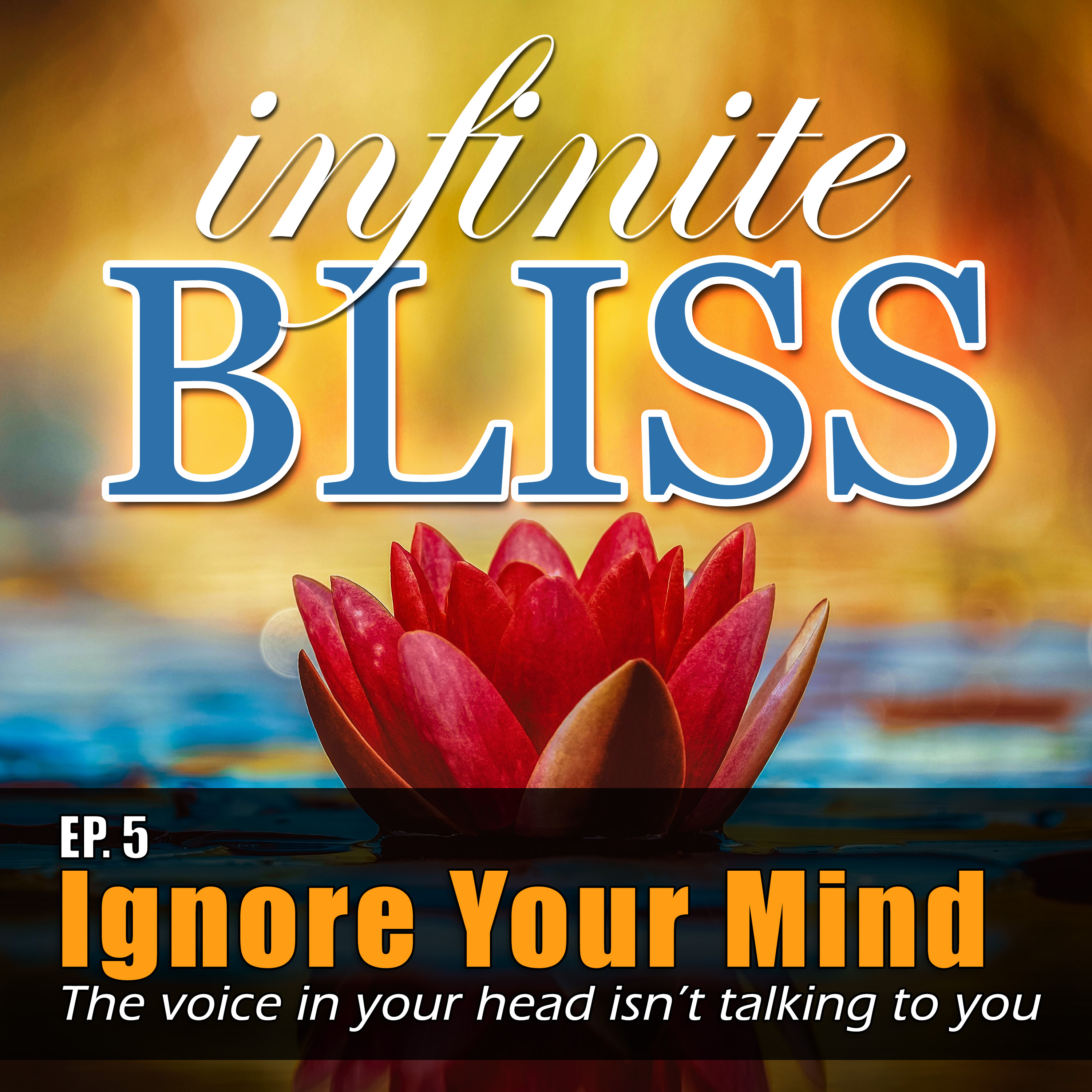 Ignore Your Mind - That voice in your head isn't talking to you episode artwork