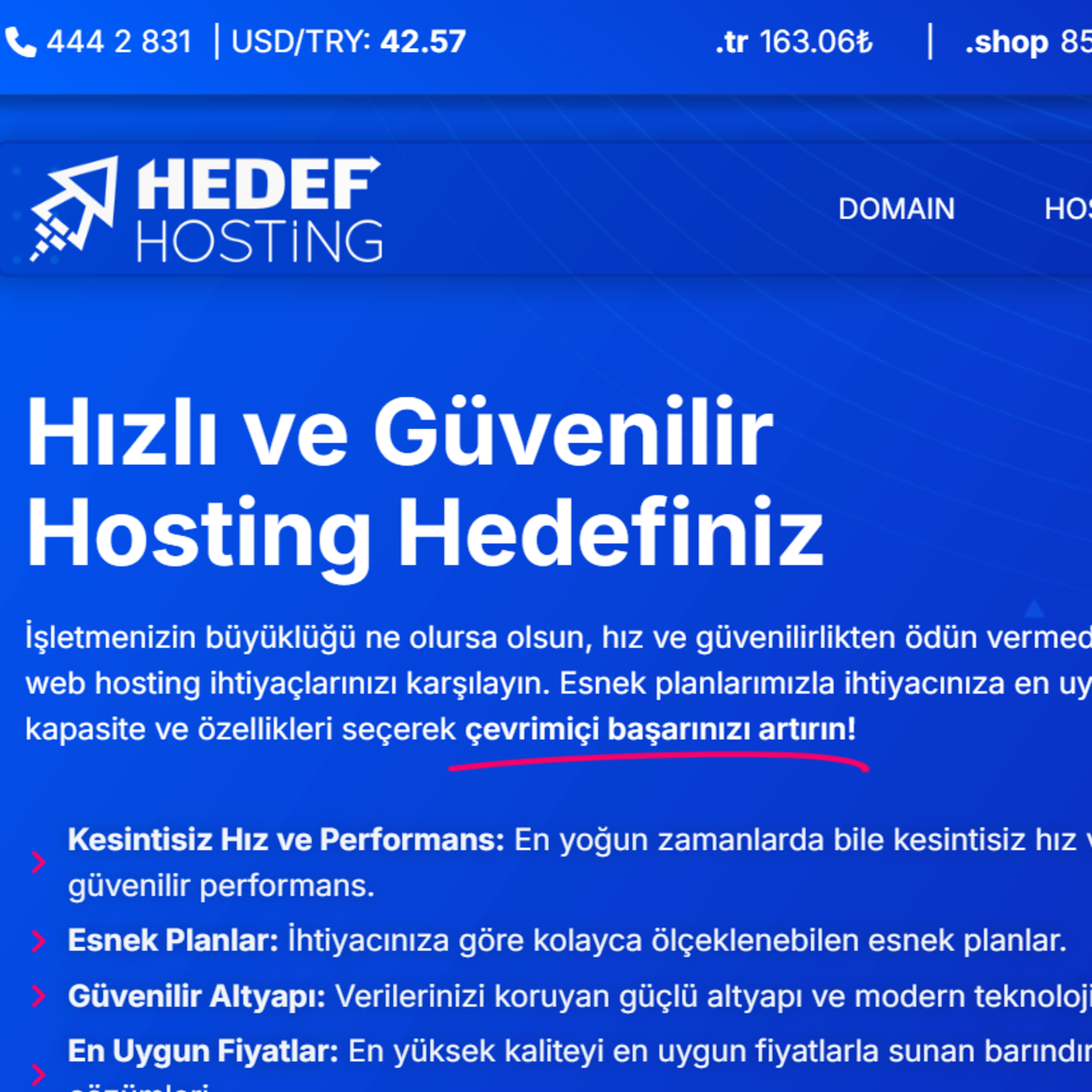 Hosting - Hedef Hosting episode artwork