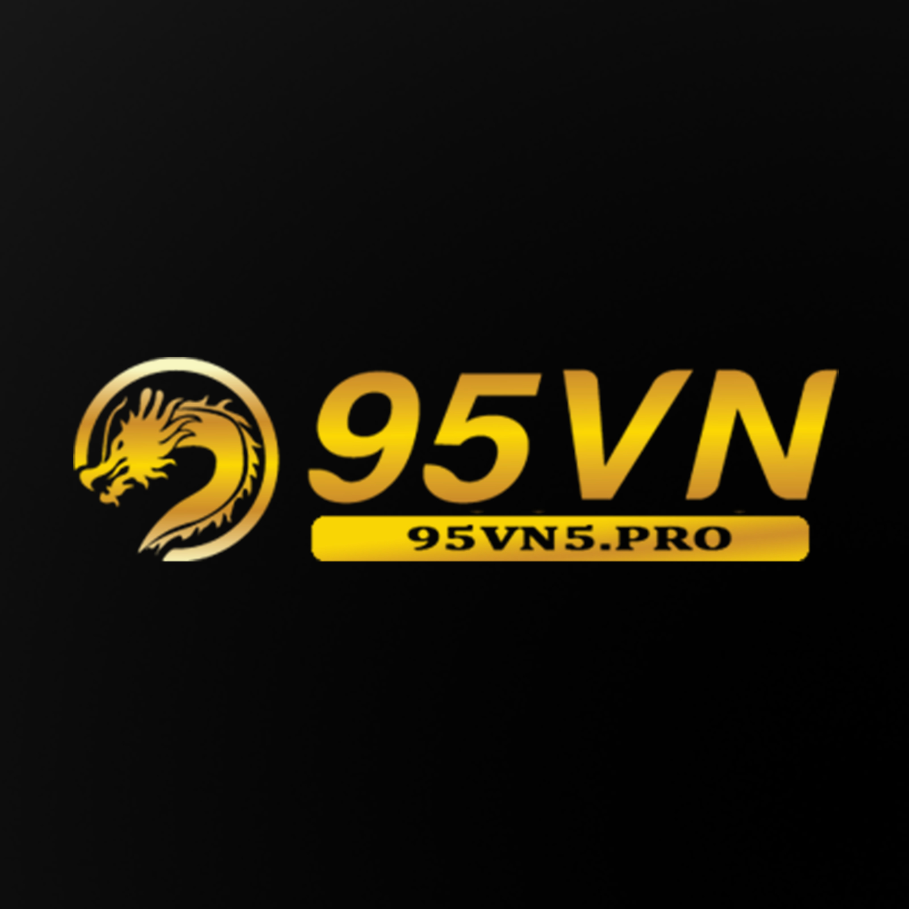 95vn5proo