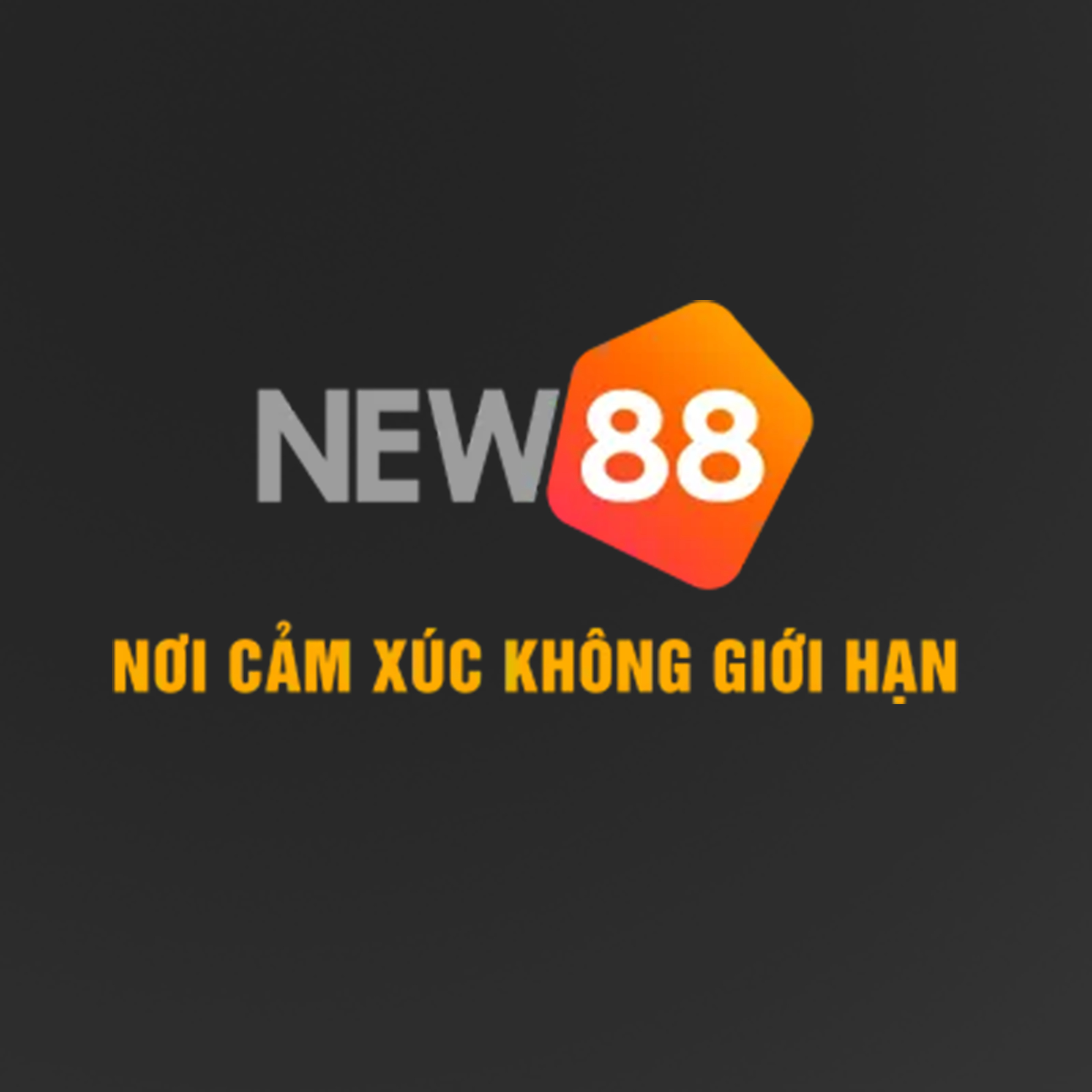 new88ctodayy