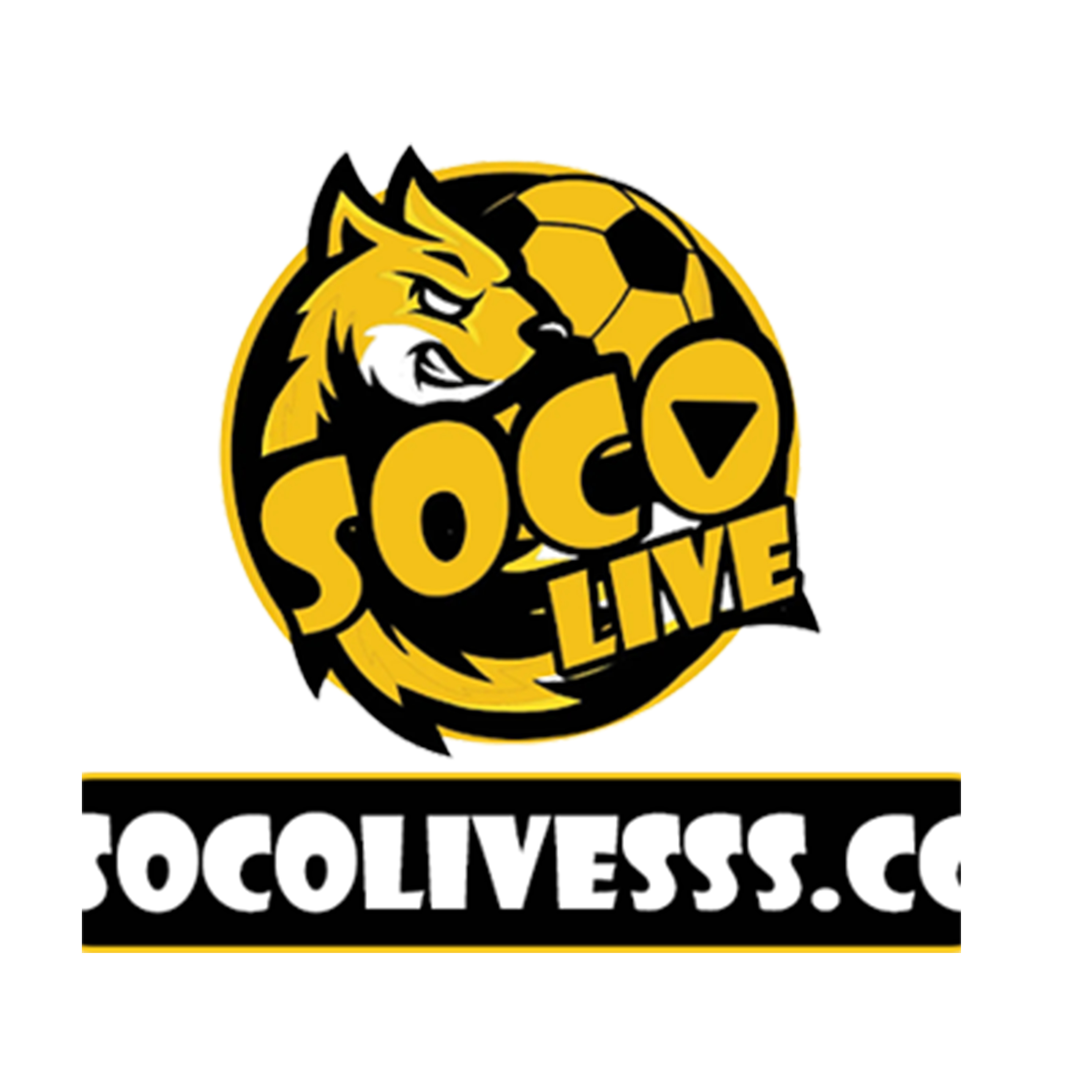 socolivesssccc