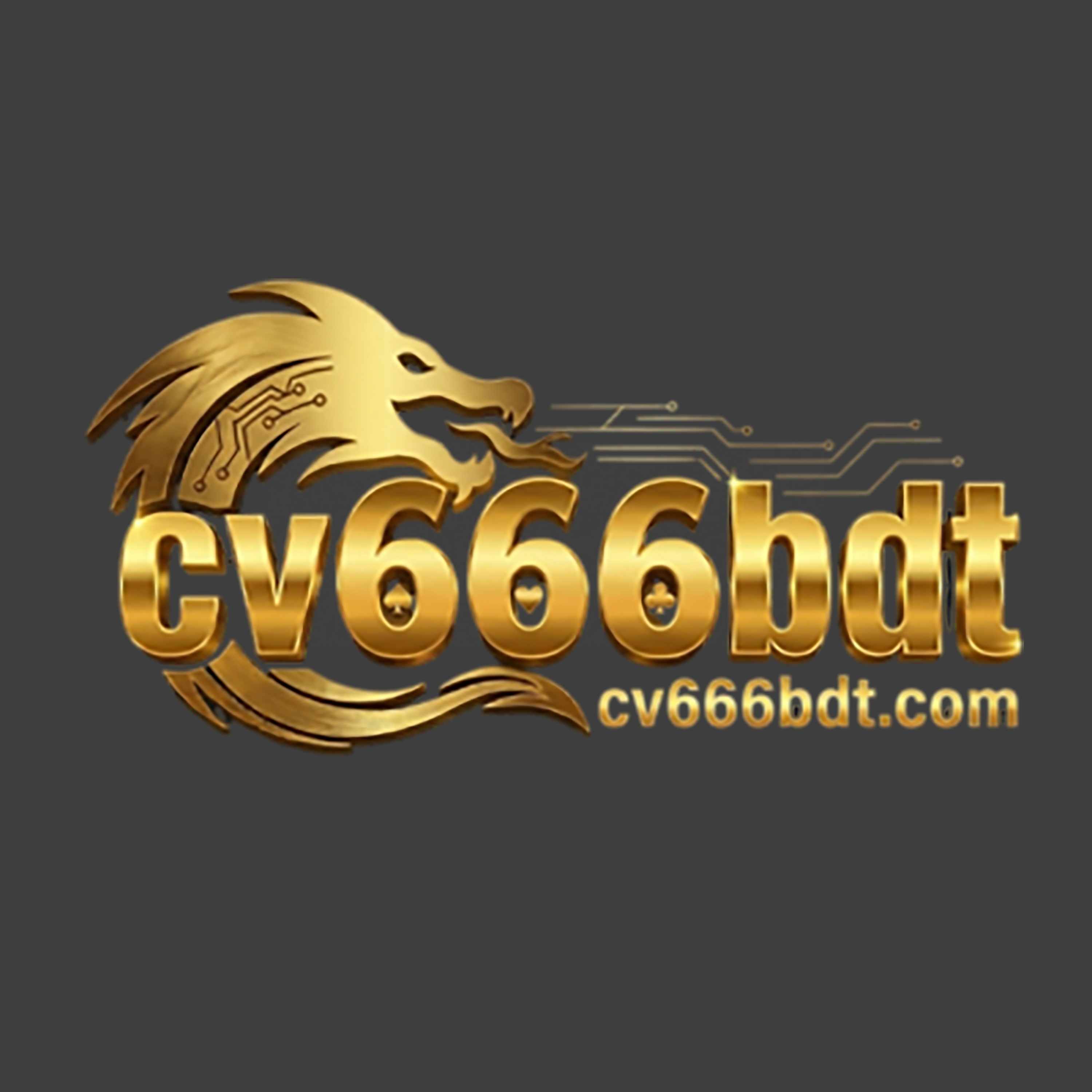 cv666bdtcommm
