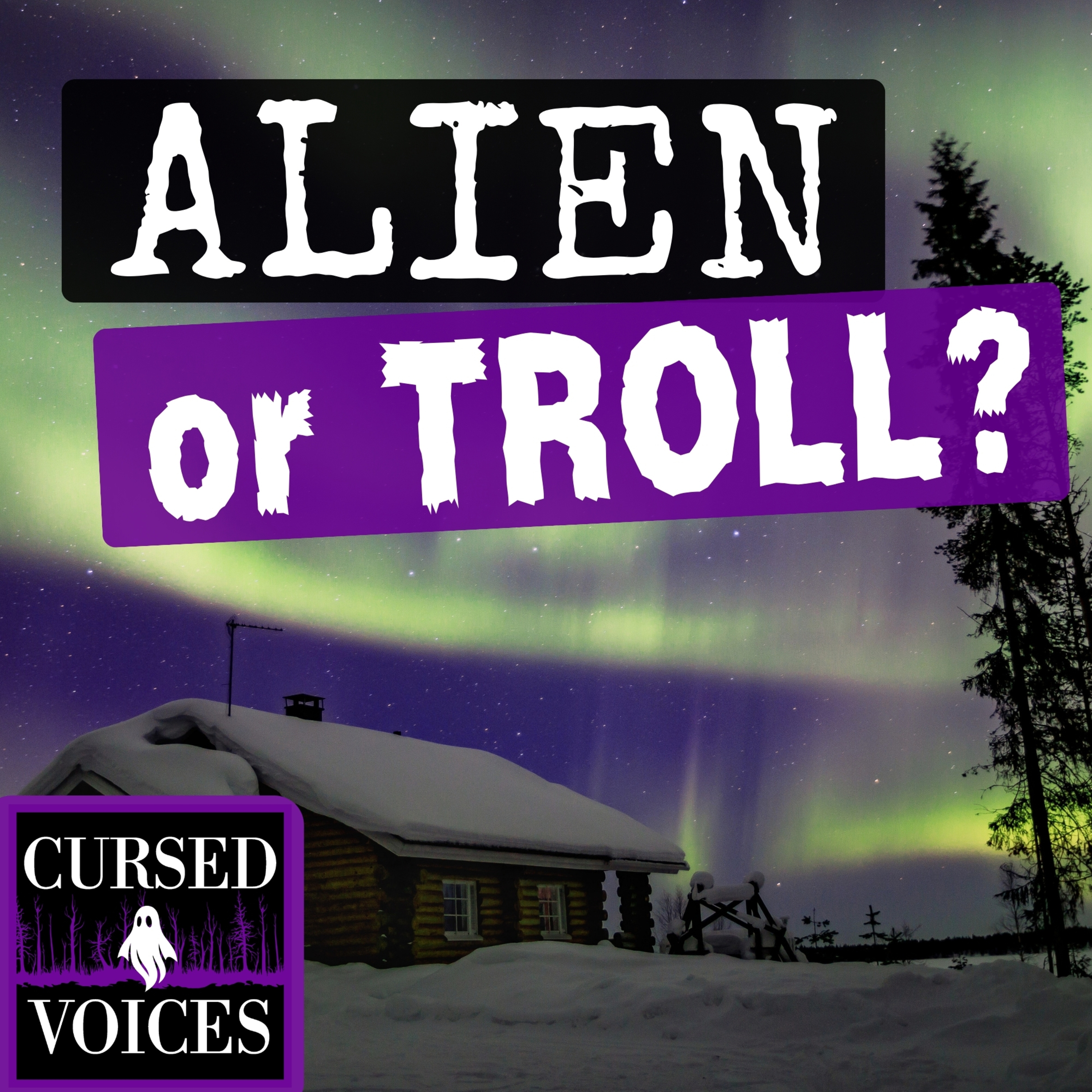 Ep. 16 - Alien Abduction or Troll?! A 1660 Priest's Bizarre Deposition | Weird History Explained episode artwork