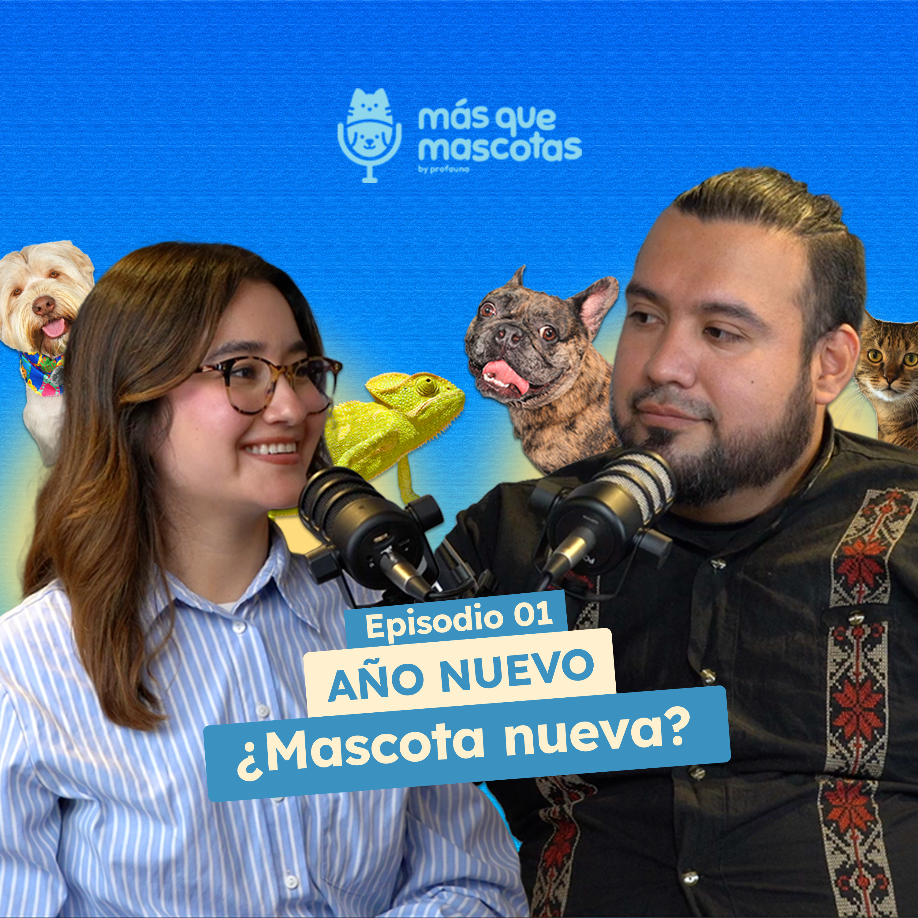 Año nuevo.. ¿Mascota nueva? ft. MVZ Luis Velasco