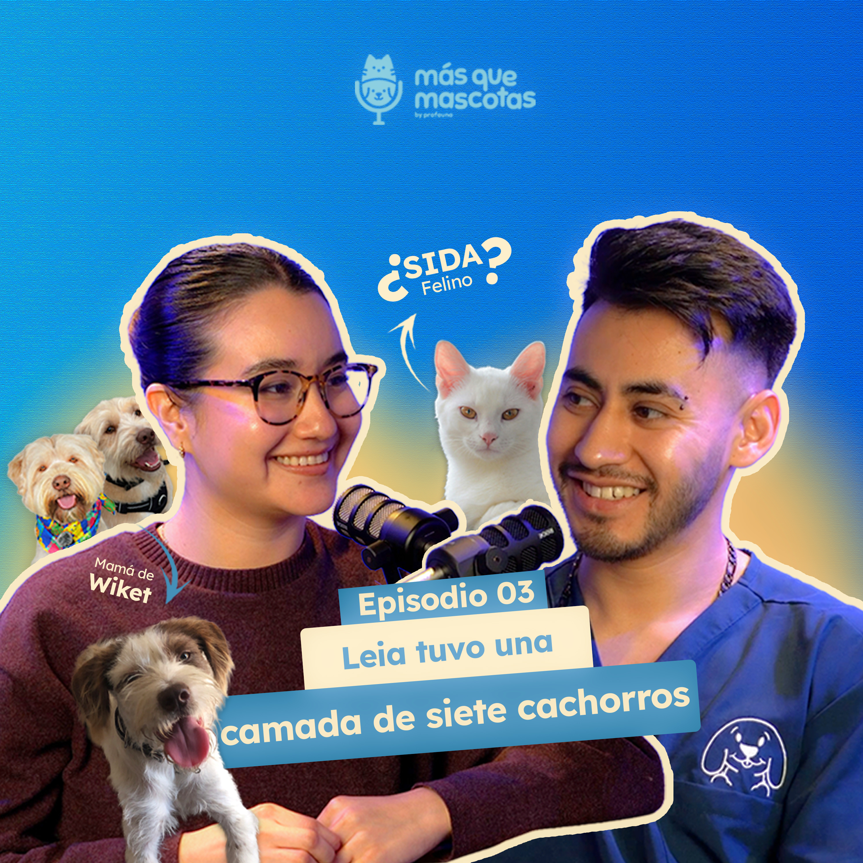 ¿Por qué debo esterilizar a mi mascota? Todo lo que debes saber ft. MVZ Arturo Díaz