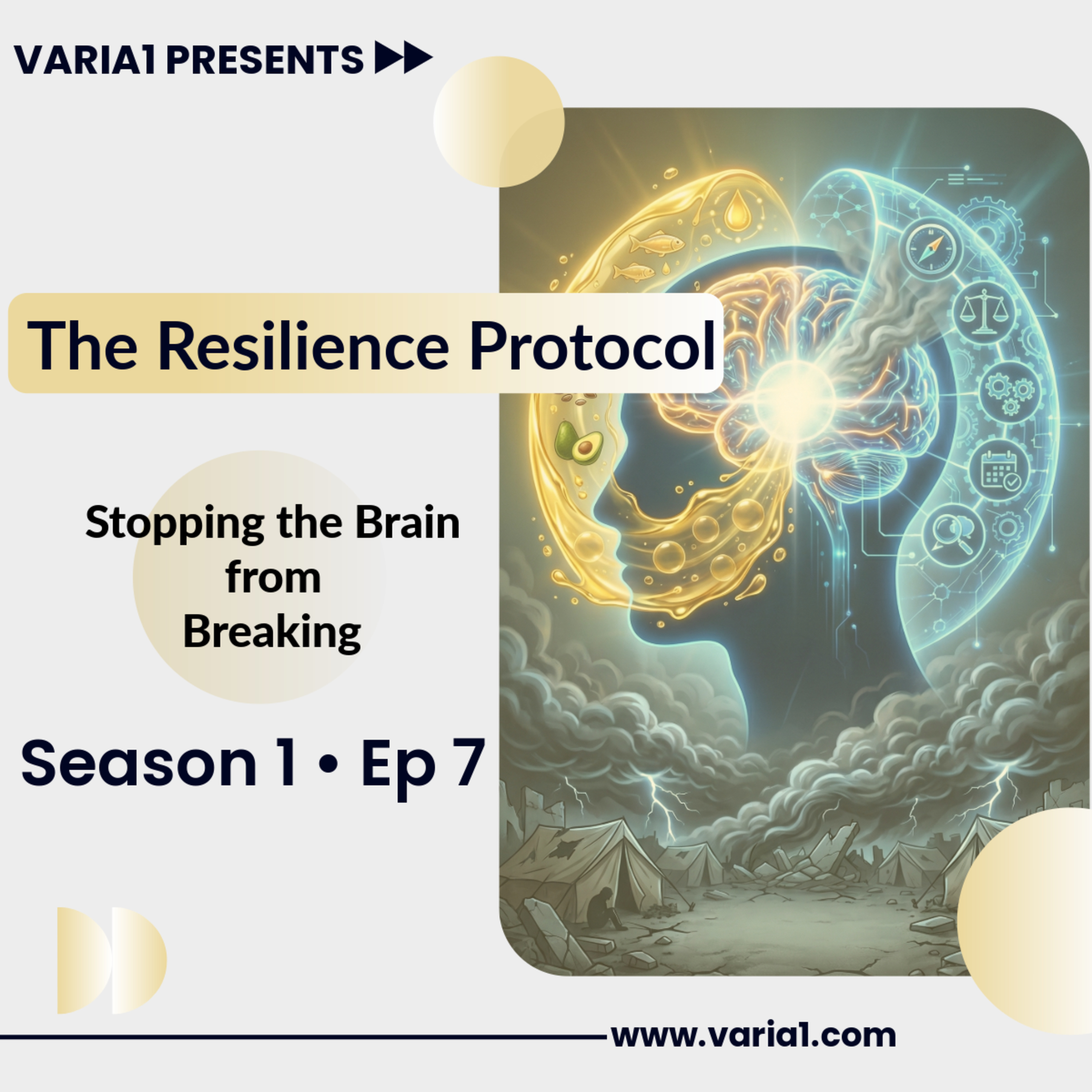 The Resilience Protocol: Stopping the Brain from Breaking episode artwork