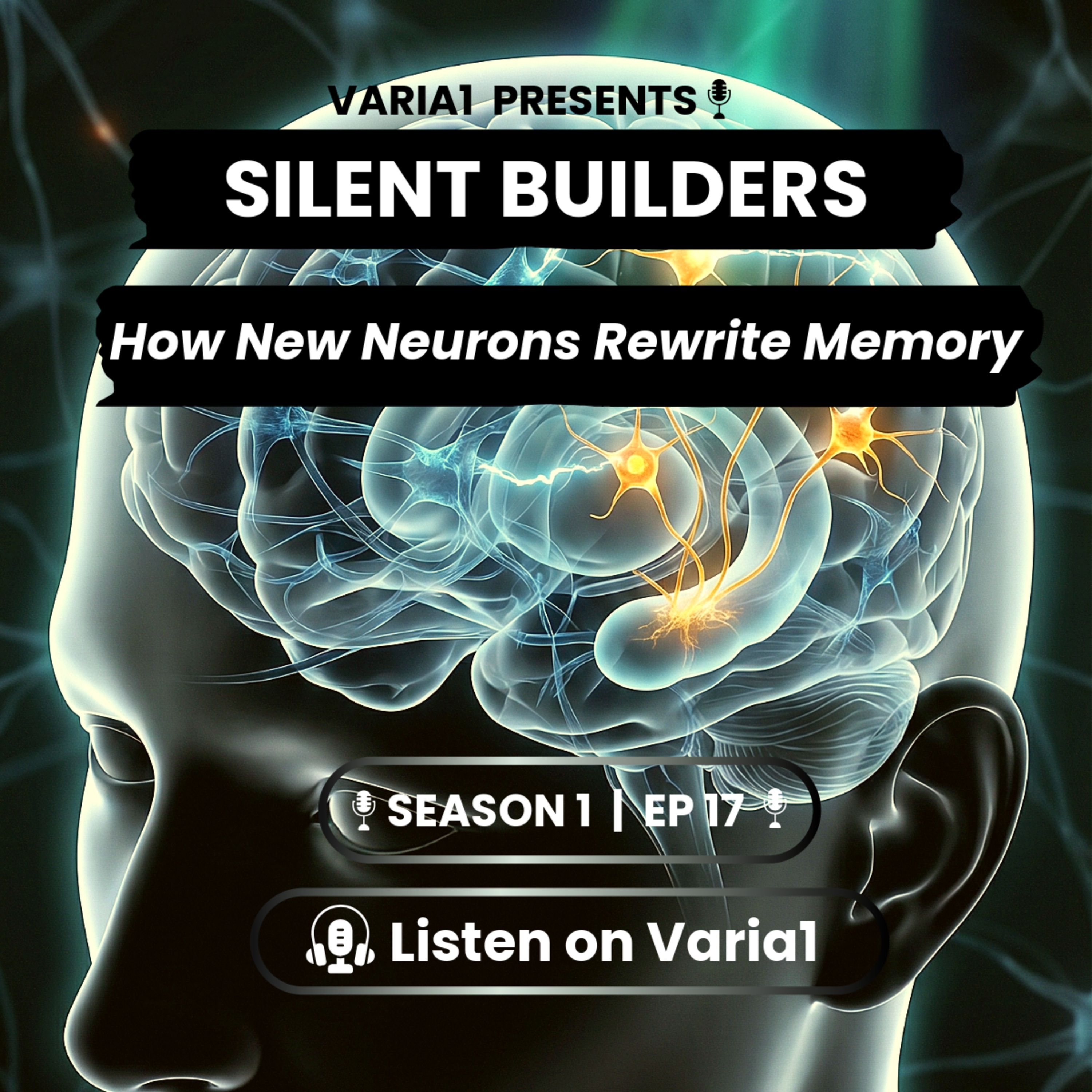 Silent Neurons: How New Brain Cells Shape Memory & Intelligence episode artwork
