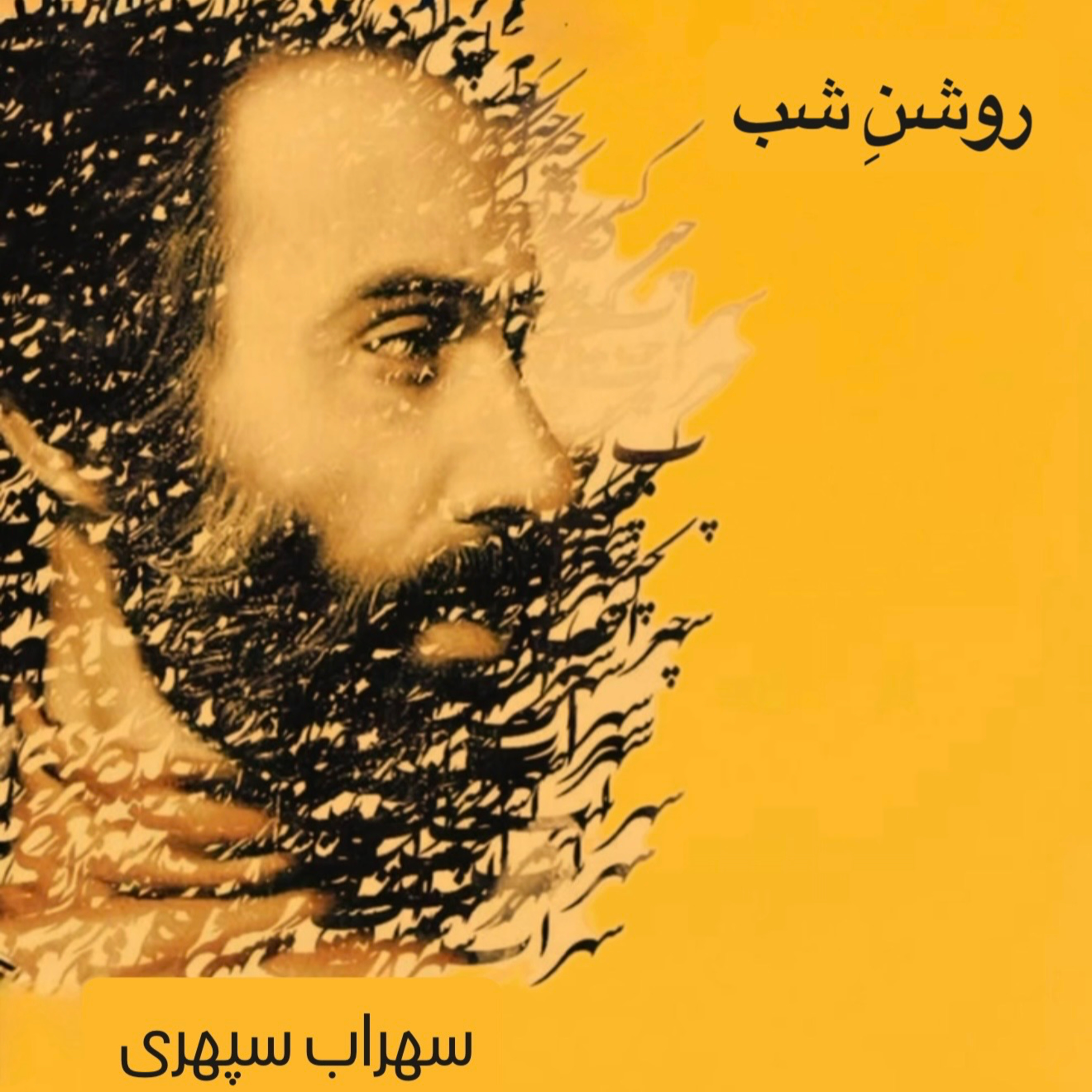 کاور روشنِ شب