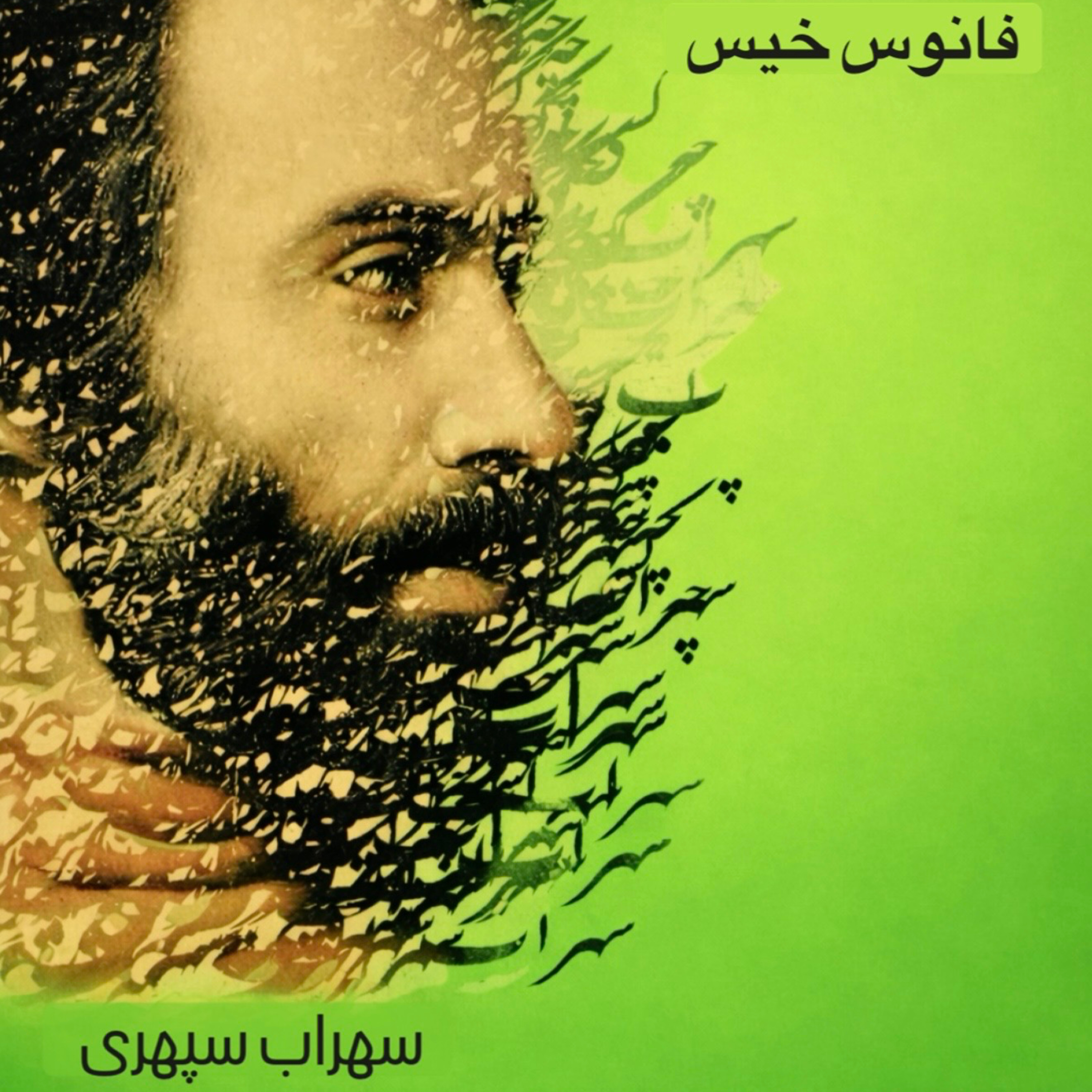 کاور فانوس خیس