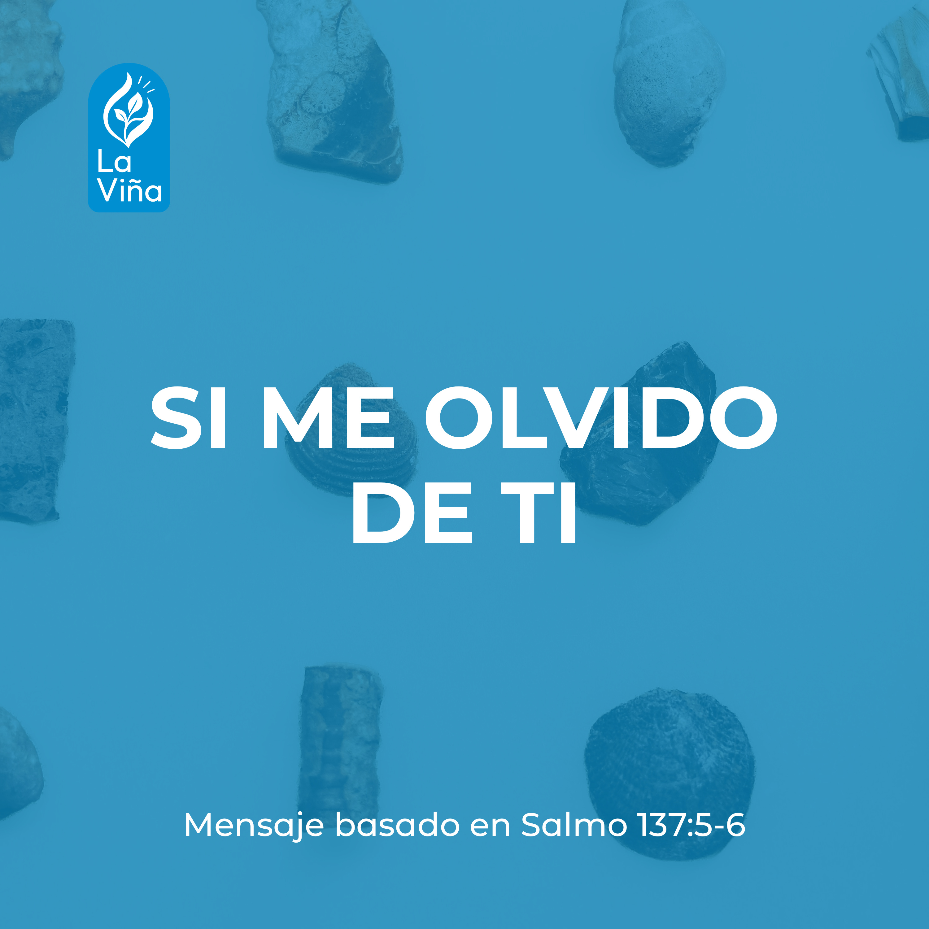 Portada de La Viña de Querétaro | Predicaciones y Enseñanza Bíblica