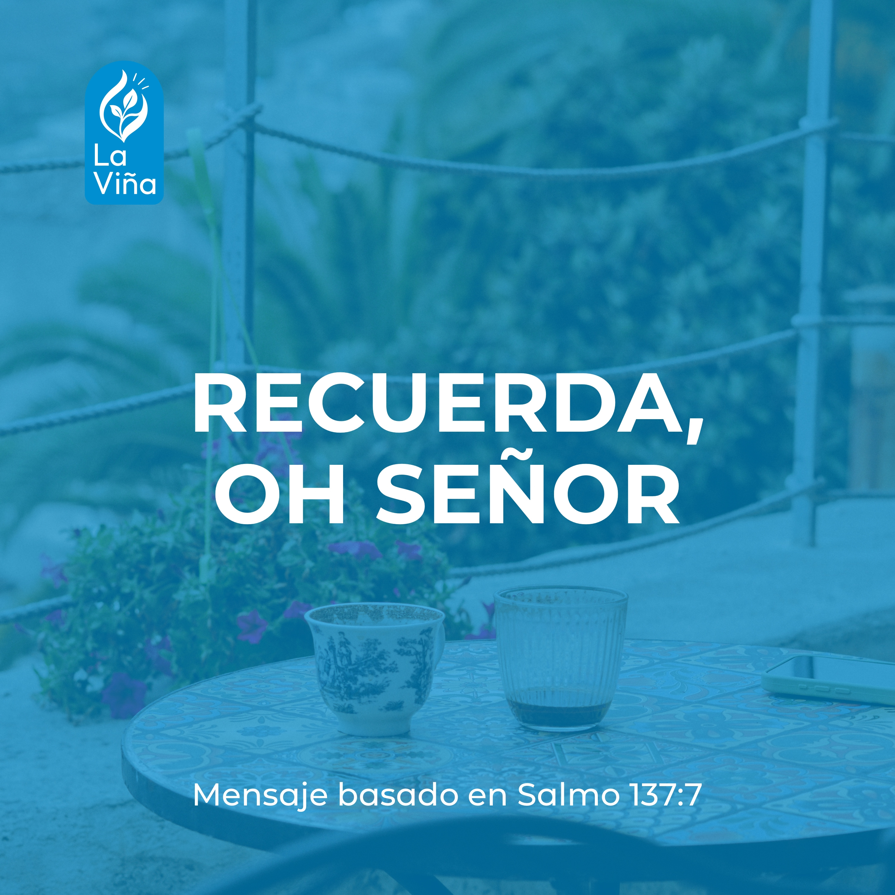 Portada de La Viña de Querétaro | Predicaciones y Enseñanza Bíblica