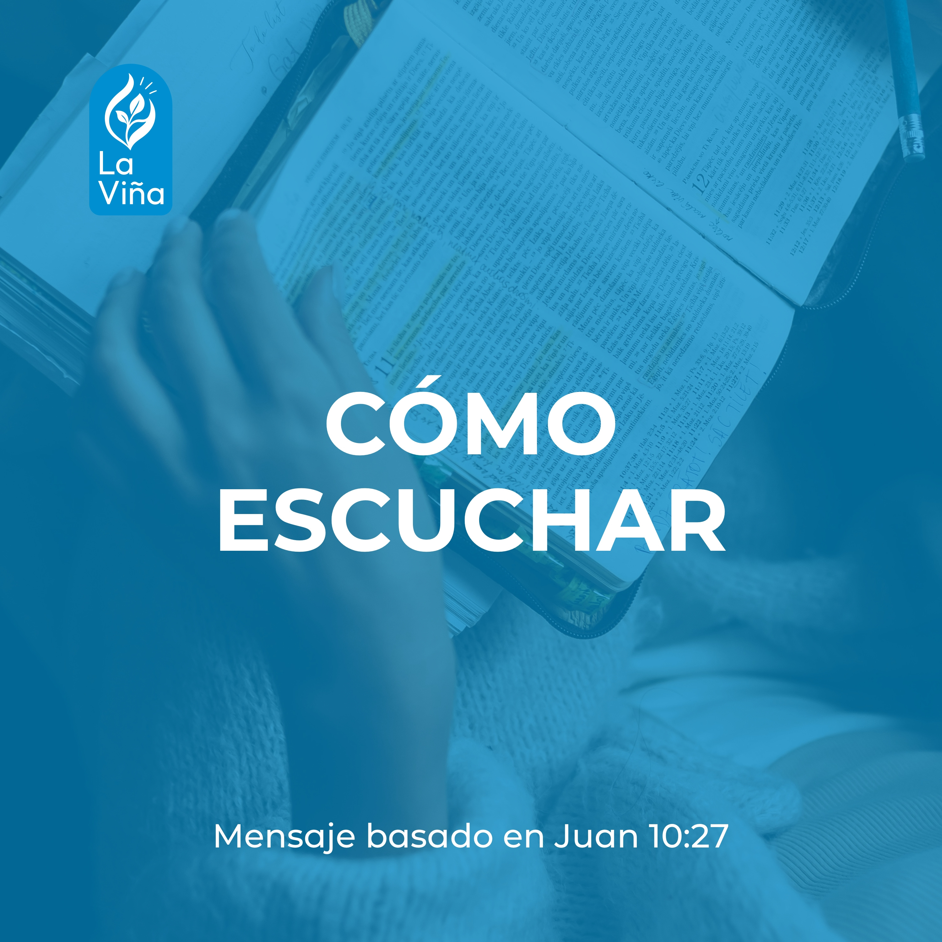 Portada de La Viña de Querétaro | Predicaciones y Enseñanza Bíblica