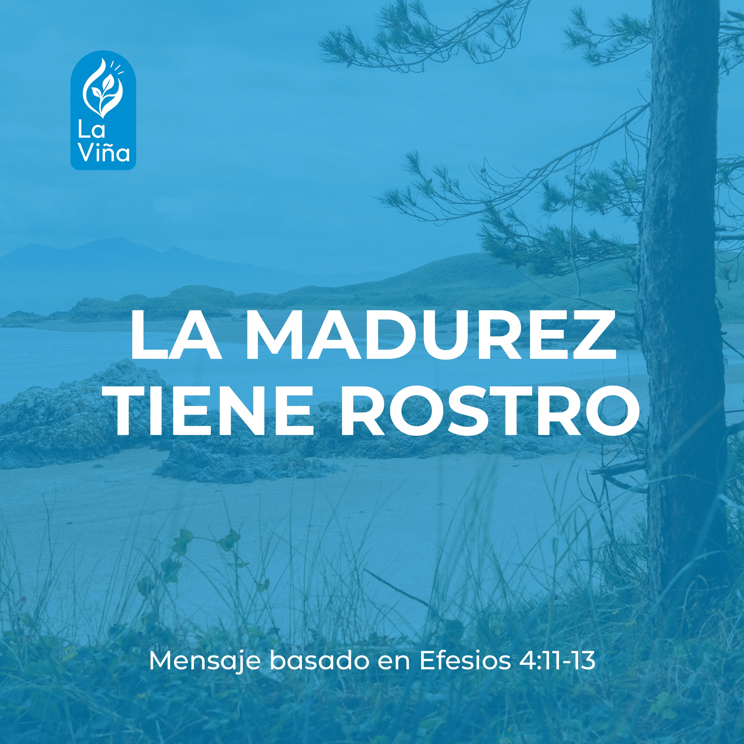 Portada de La Viña de Querétaro | Predicaciones y Enseñanza Bíblica