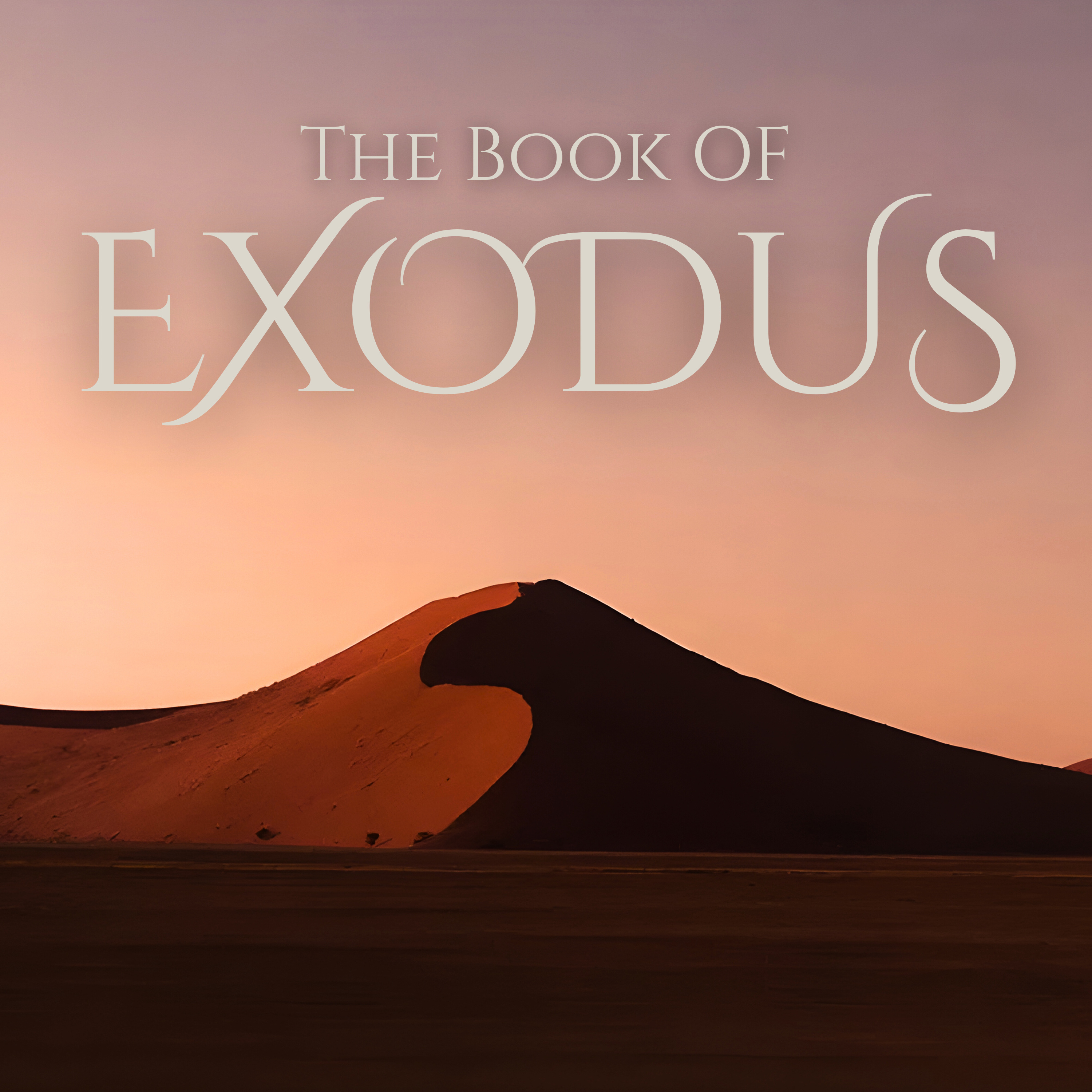 Exodus Chapter 2-Leaving our Egypt for Midian episode artwork