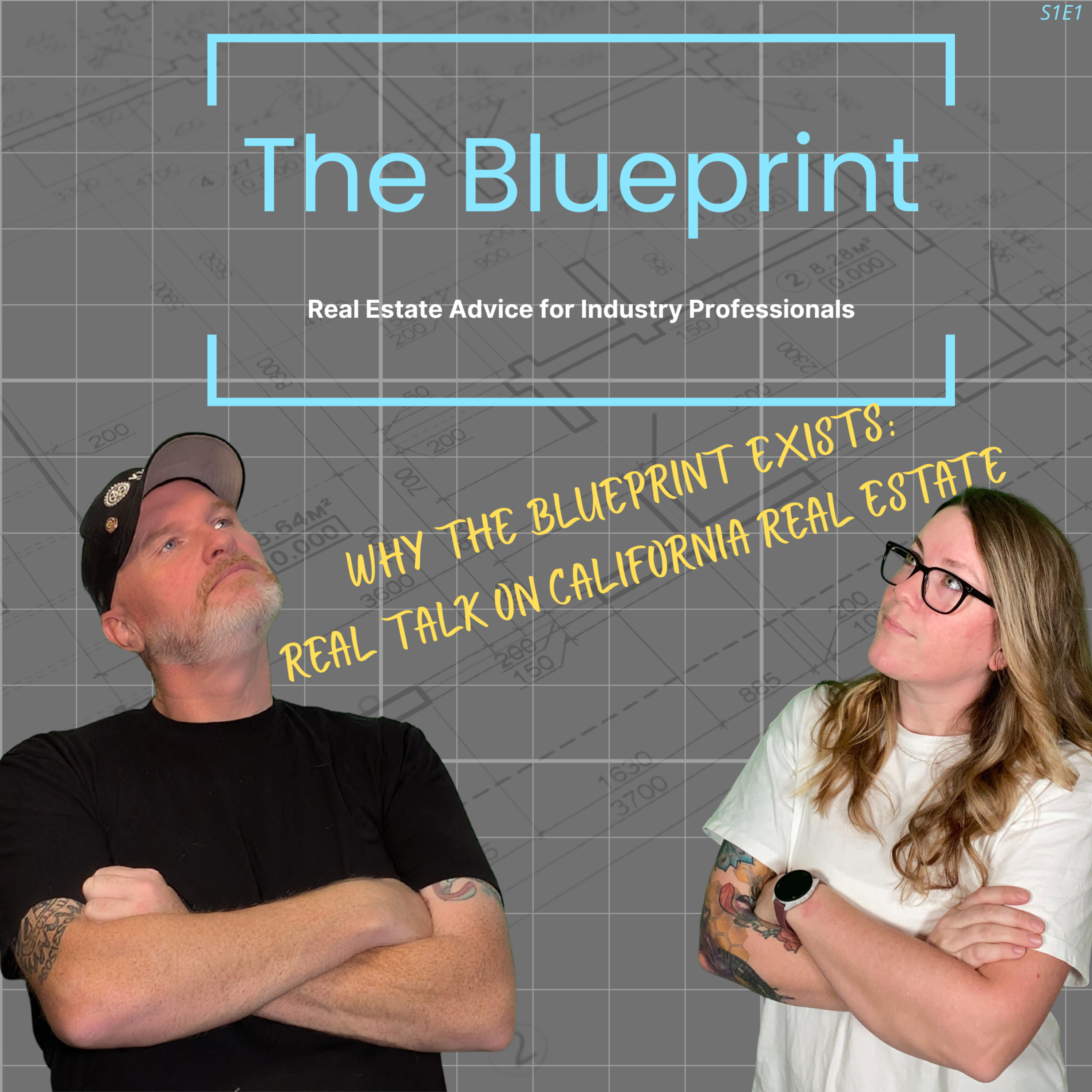 The Blueprint: Real Estate Advice for Industry Professionals